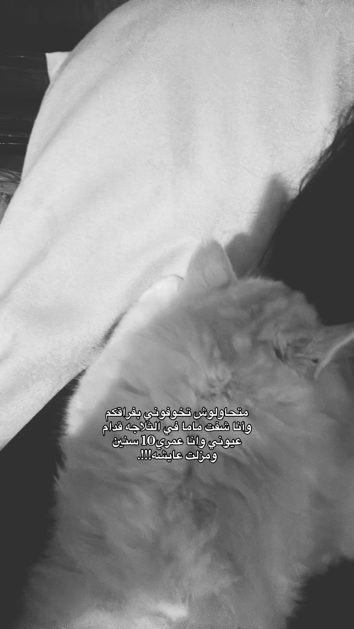 @widy❣️.