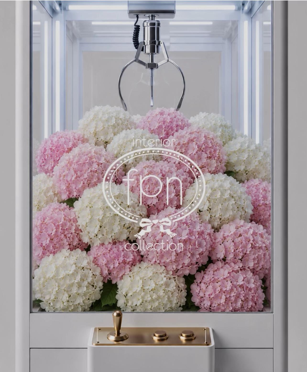 @FPNCOLLECTION