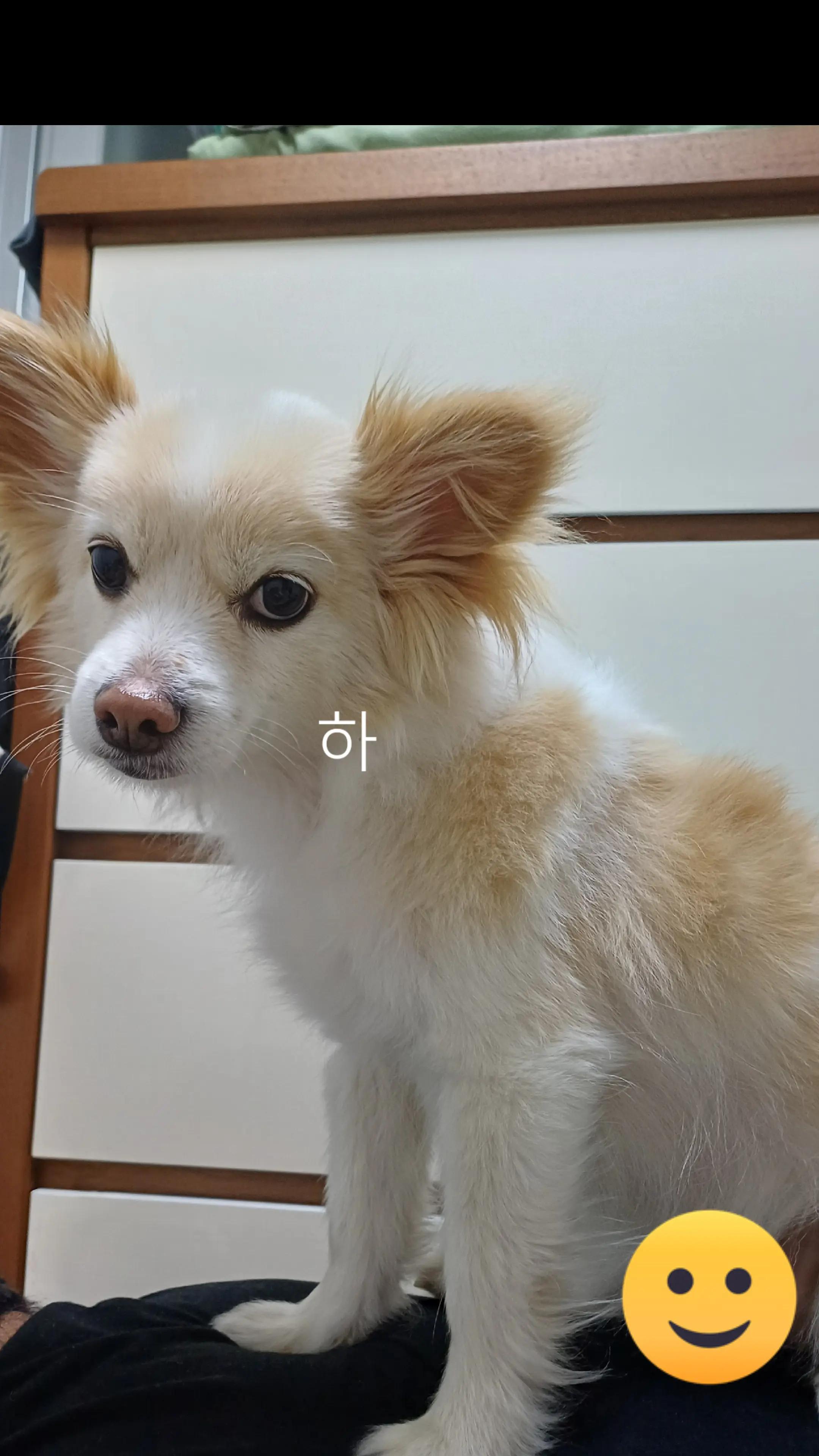 @나의 갓생 사는 동물 스토리