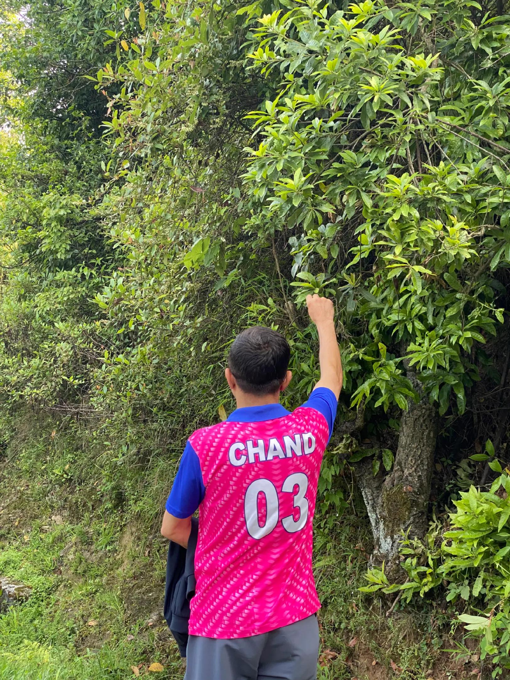 @K Chand