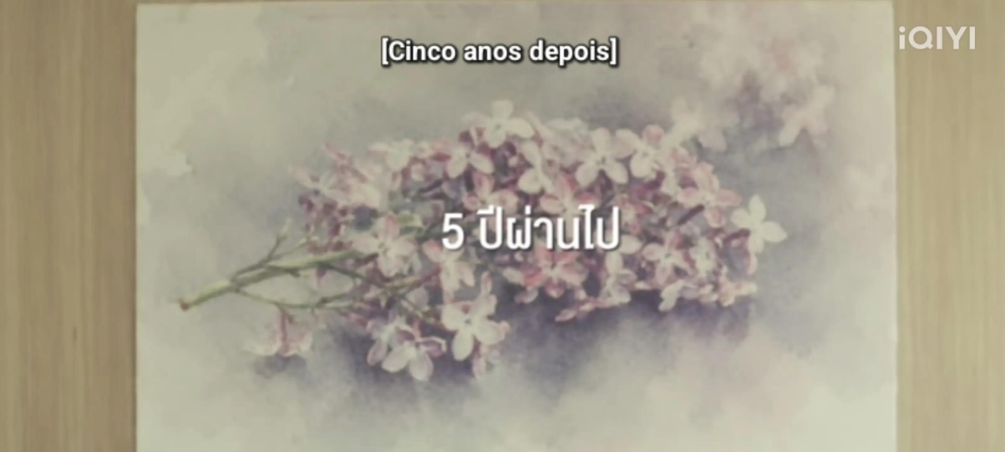 @Lini 🦋