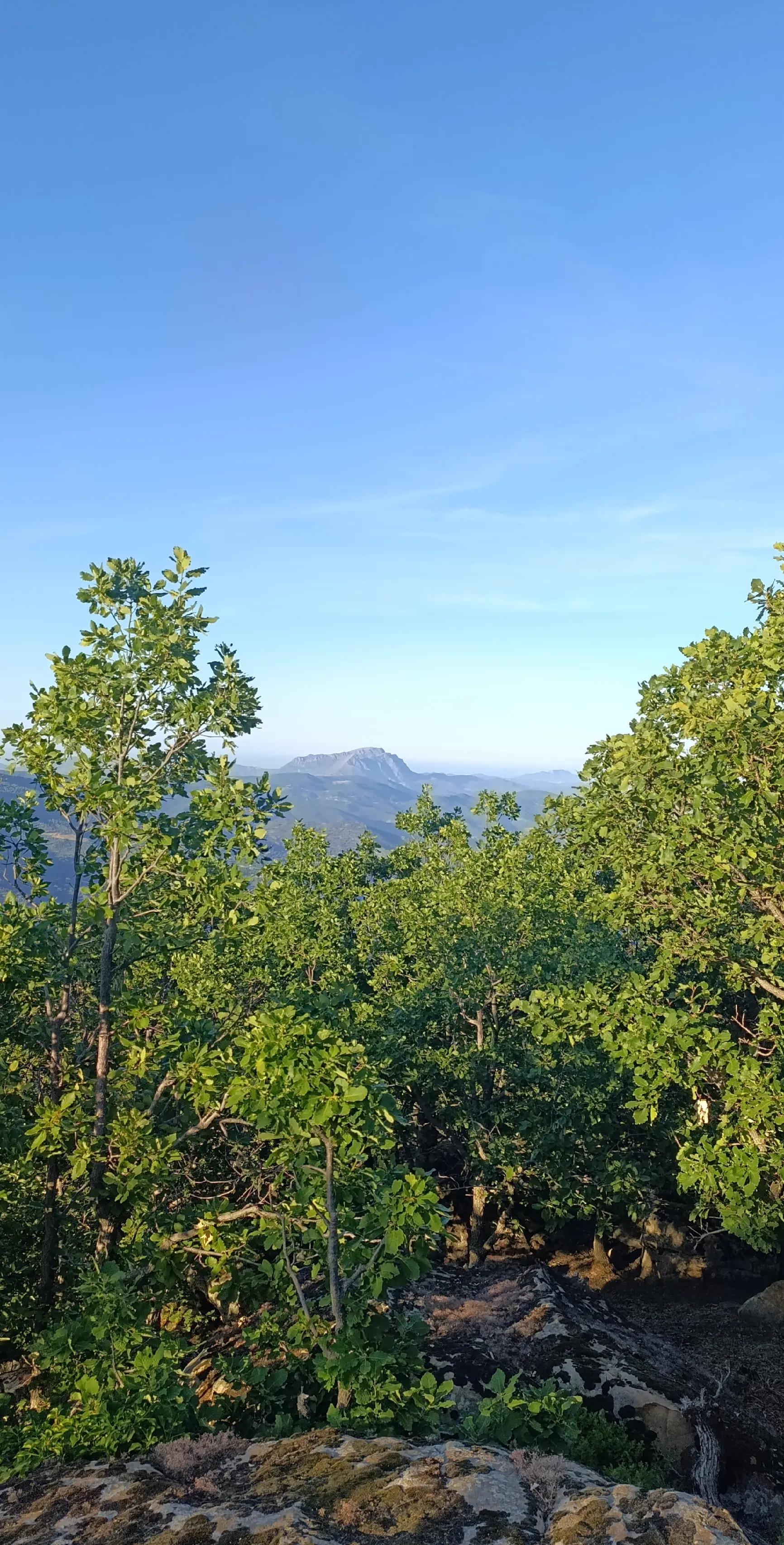 @JubaHiking
