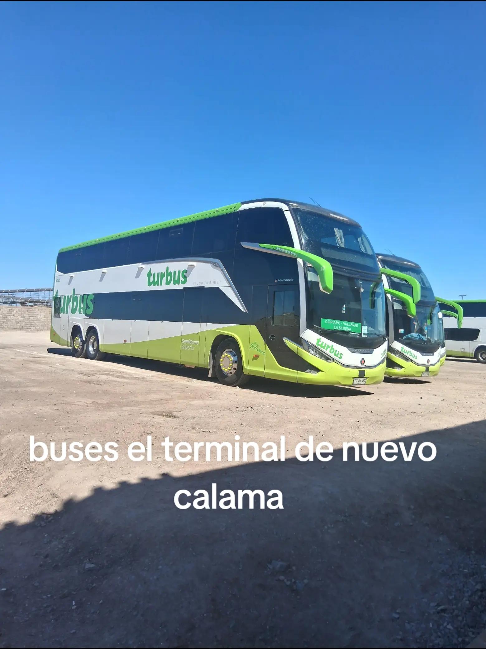 @Busología renato 😎