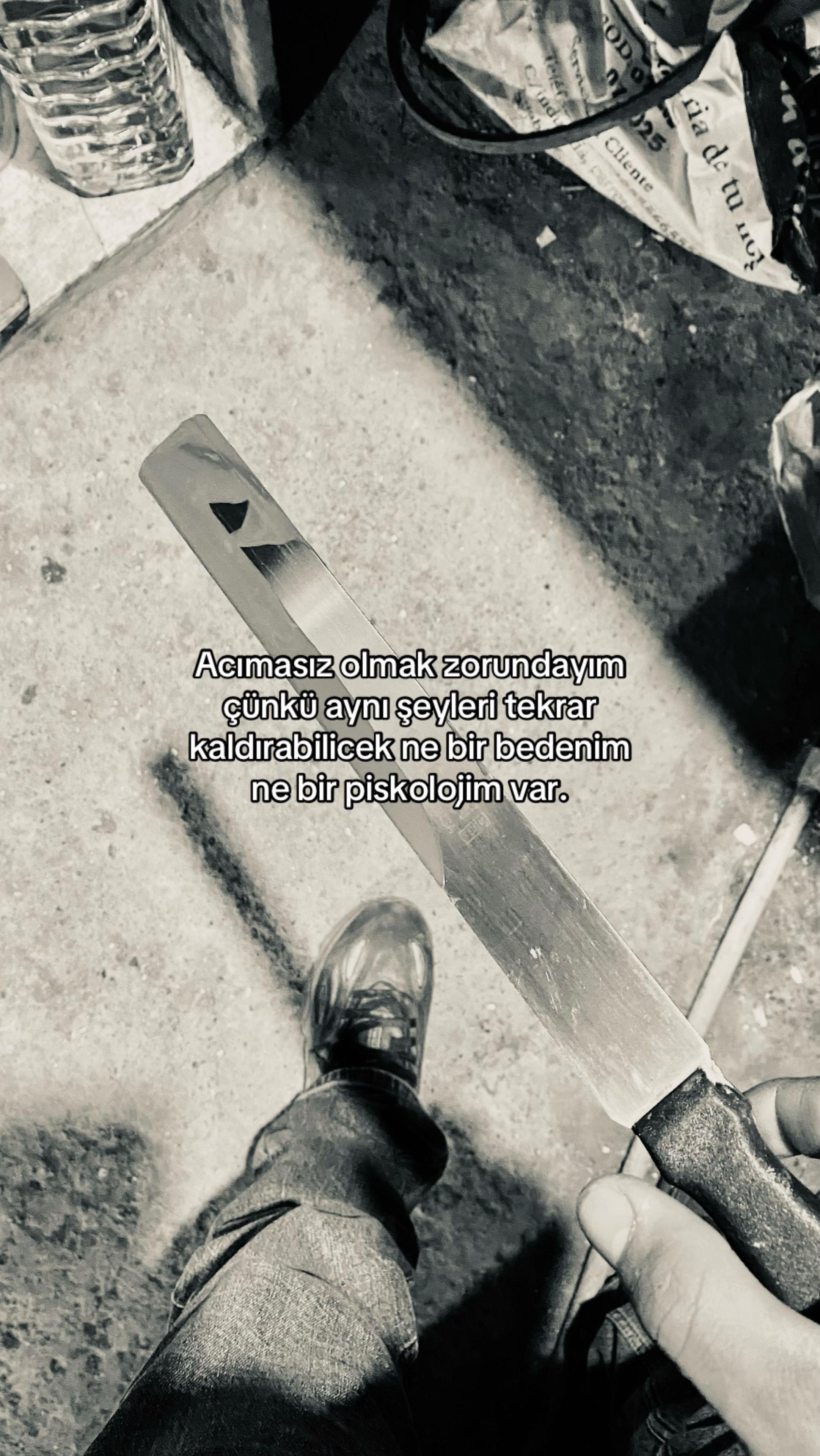 @🕊️