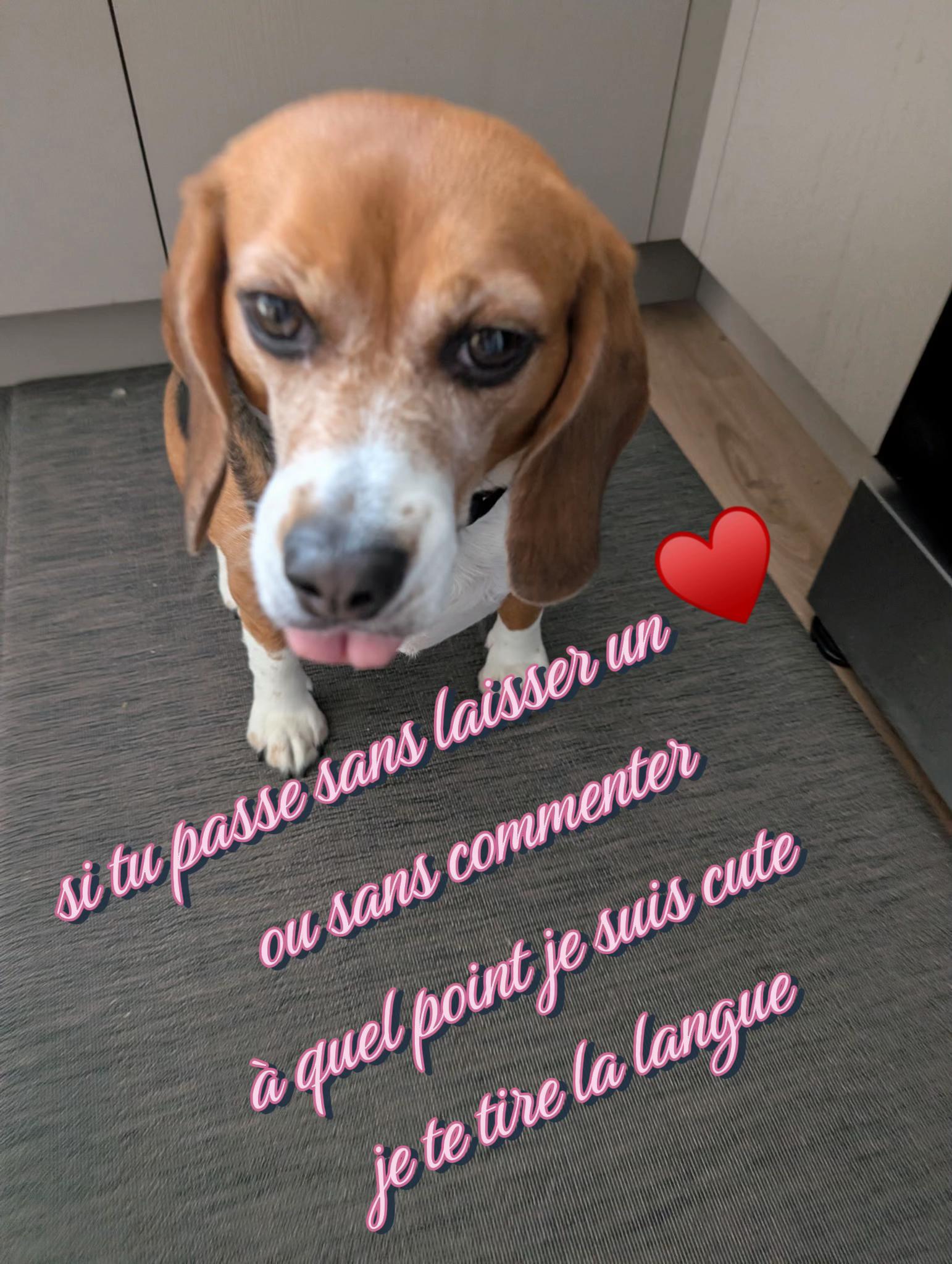 @miss.pulpeuse