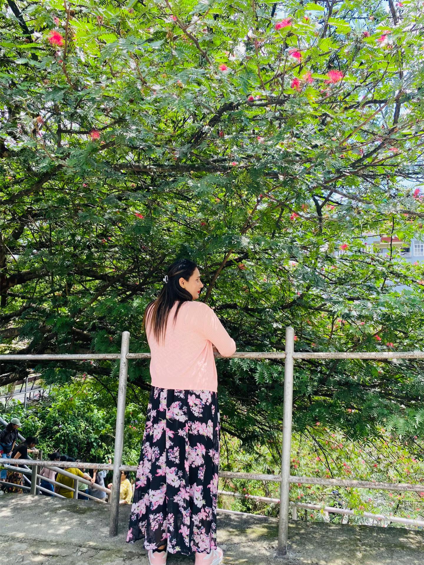 @sabitrachhetri74