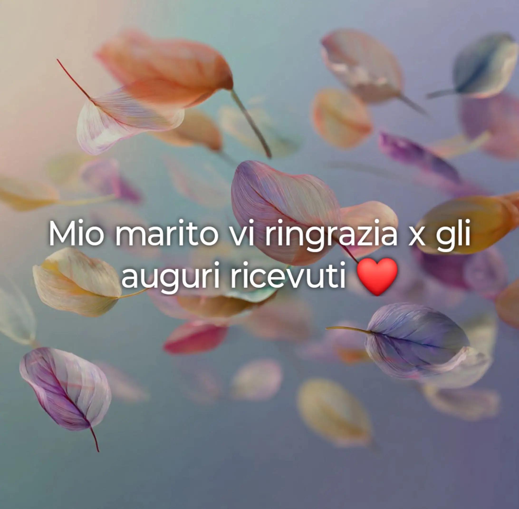 @elenarondinone