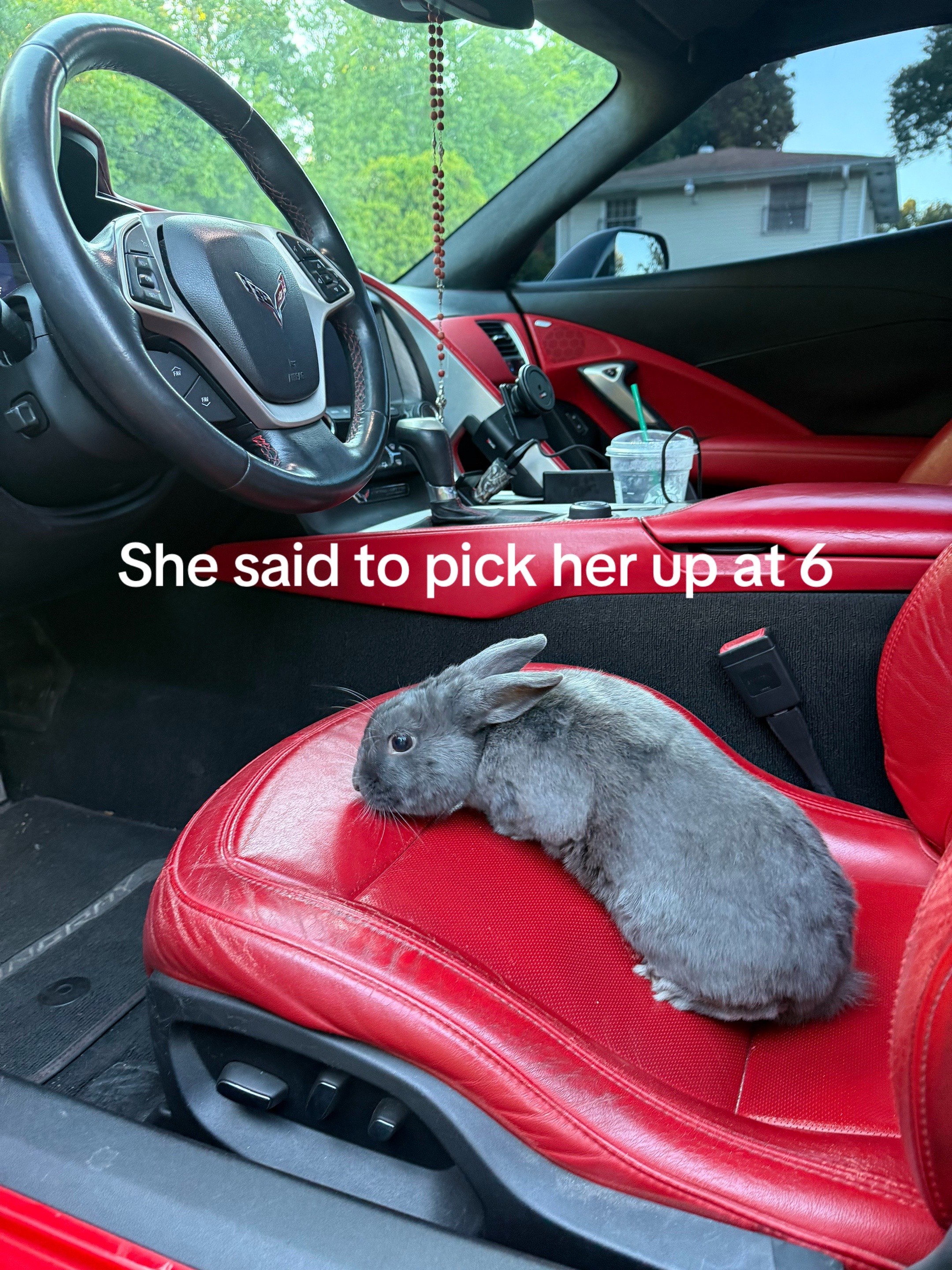 @sorpowe