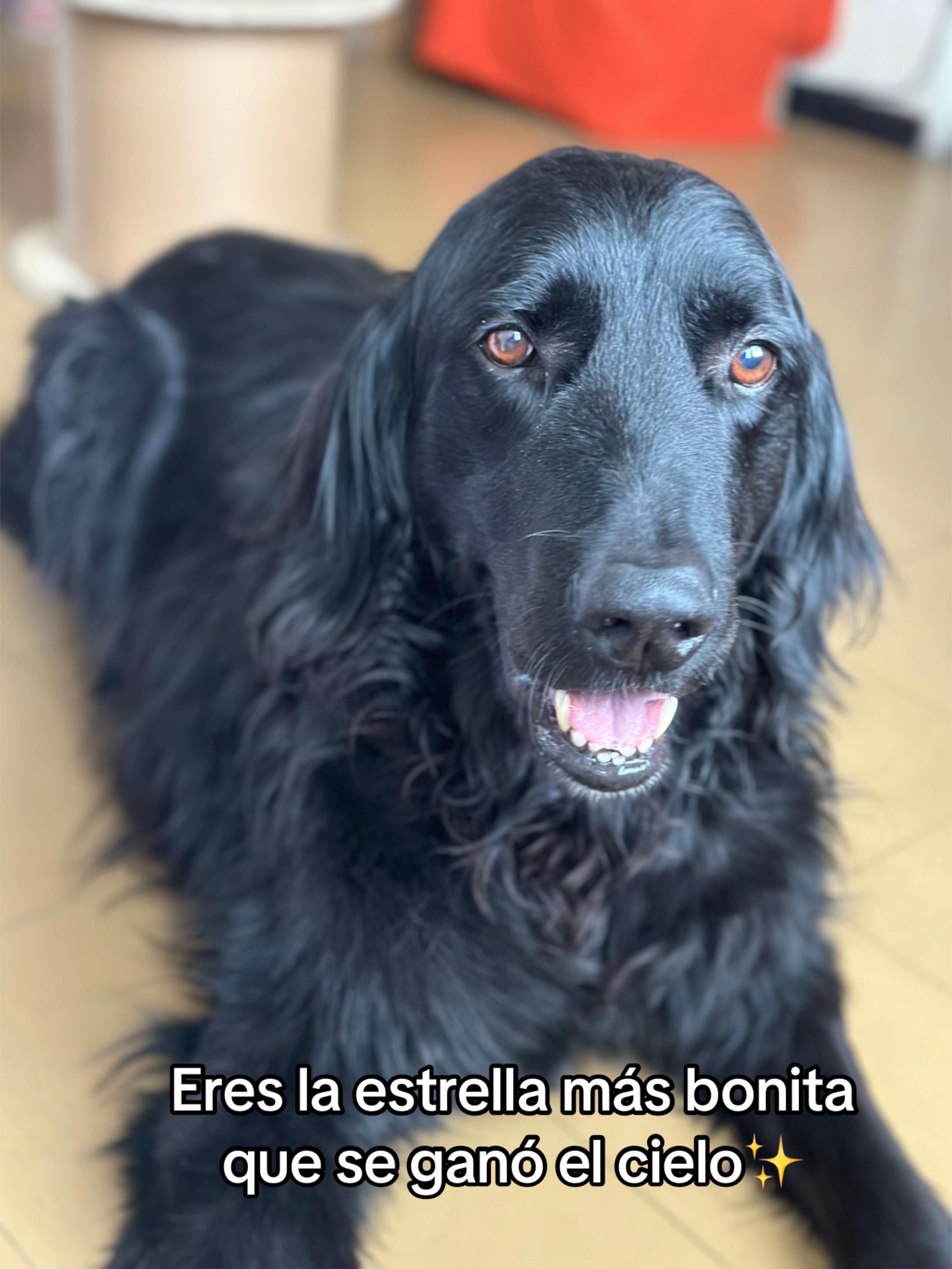 @💜 Vane E.💜