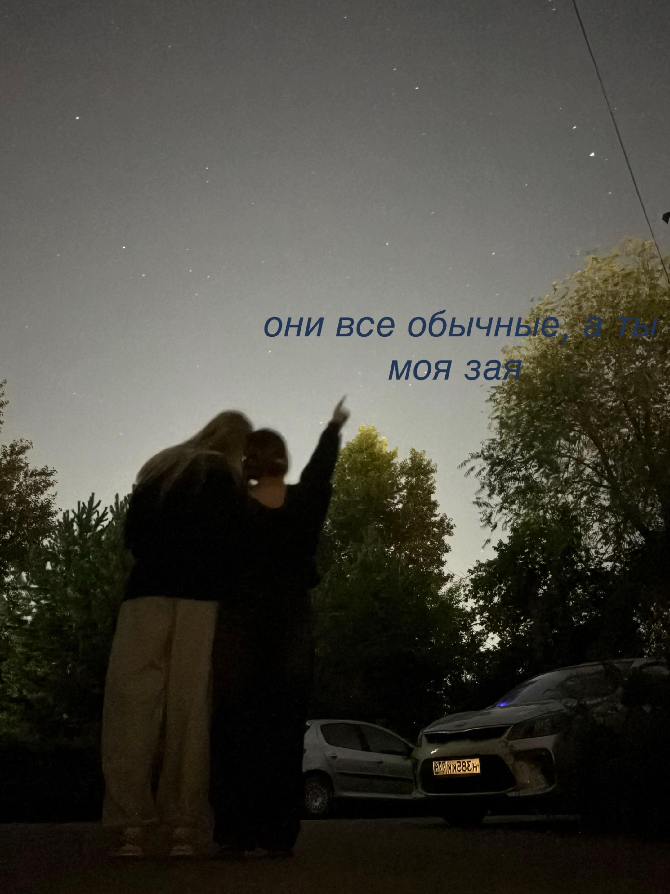 @чип