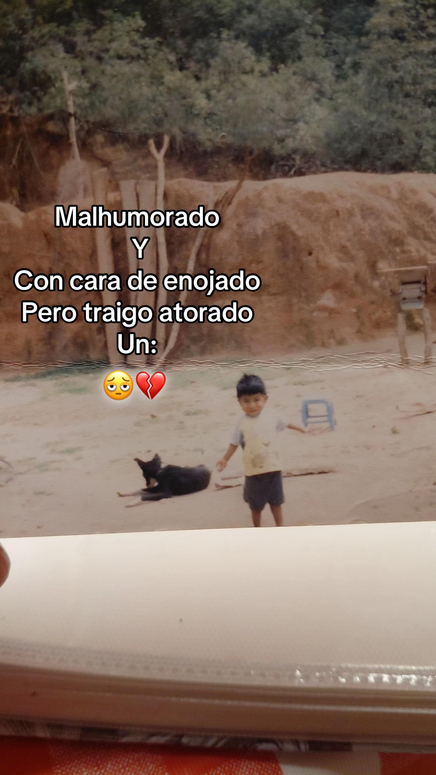 @rysnpaulino