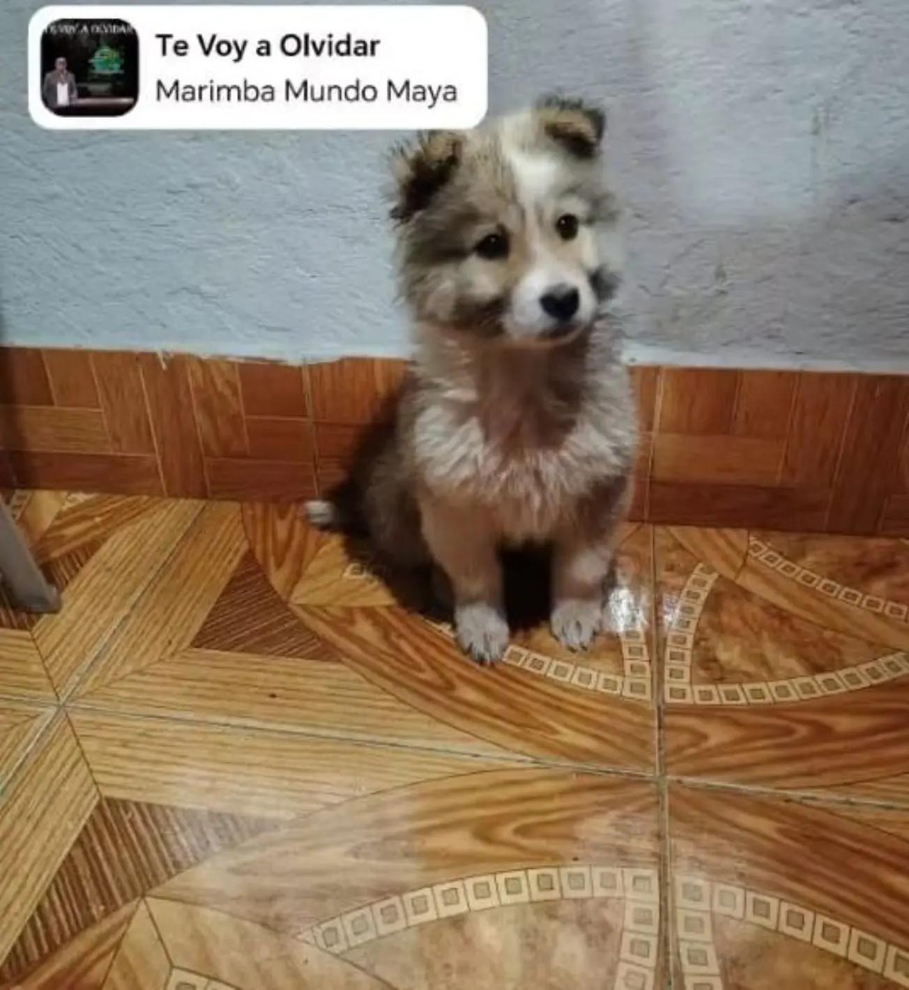 @maria simon