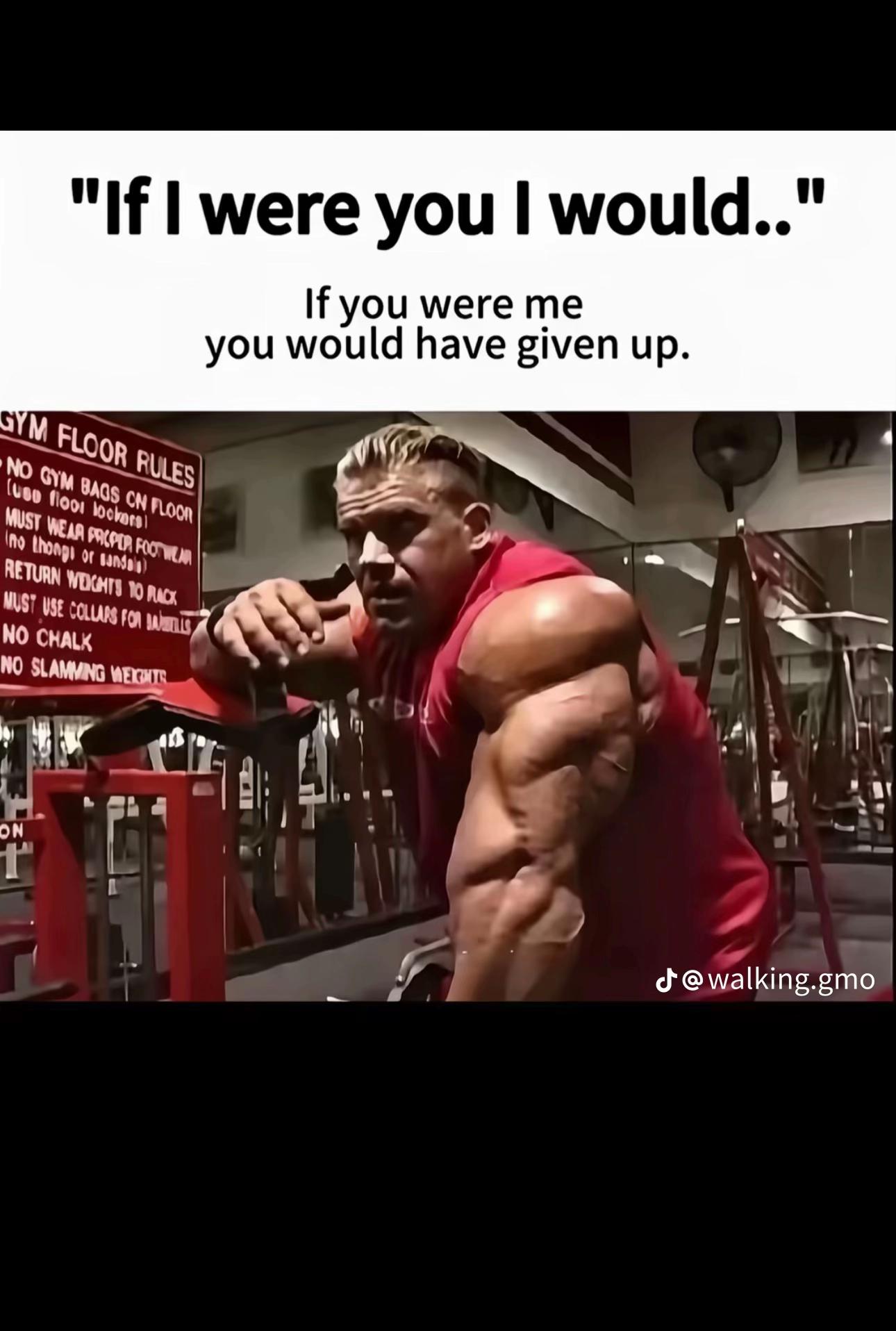 @ramsesnicosia
