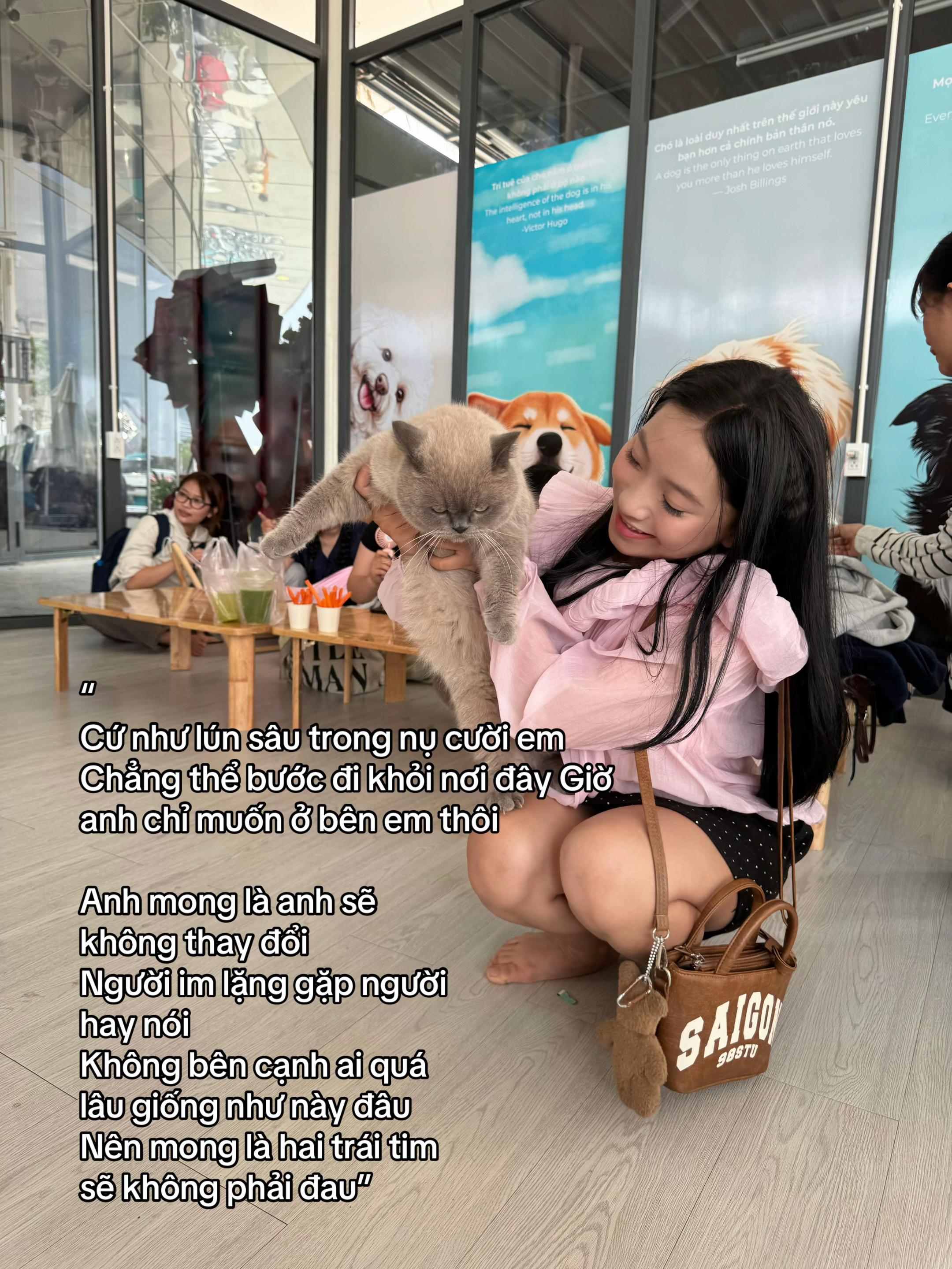 @Cobeanhang