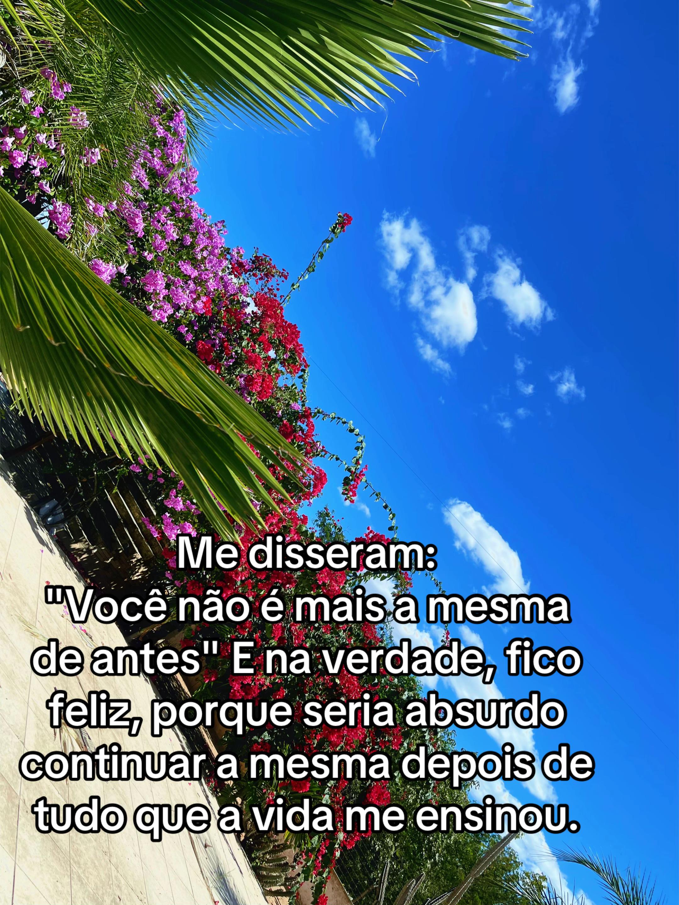 @olliveeira00