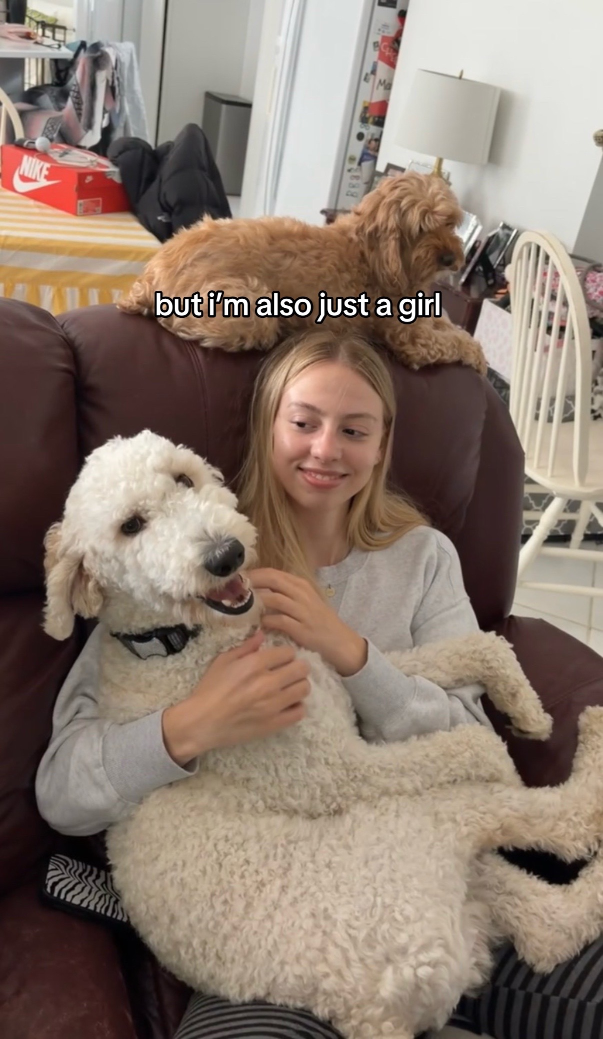 @lexi