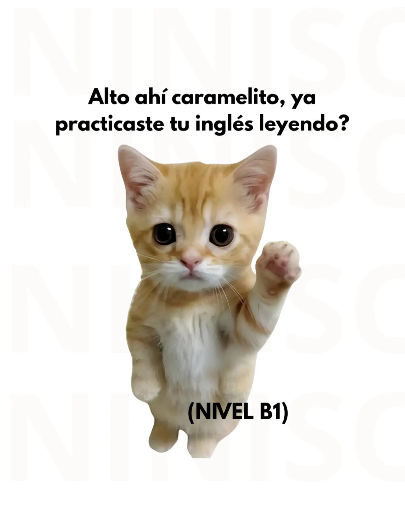 @practicainglescaramelito