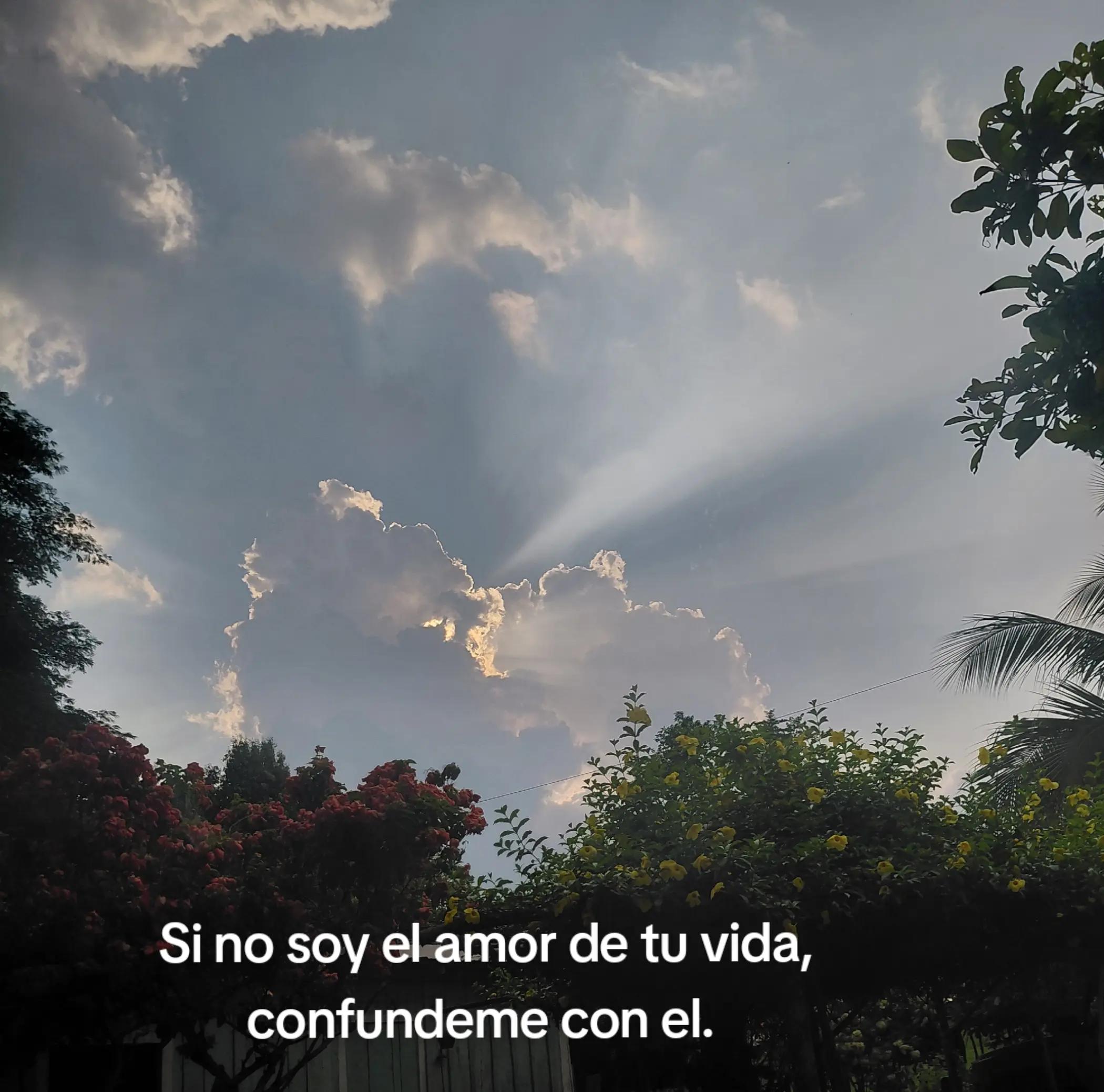 @Kimberly🌵✨️
