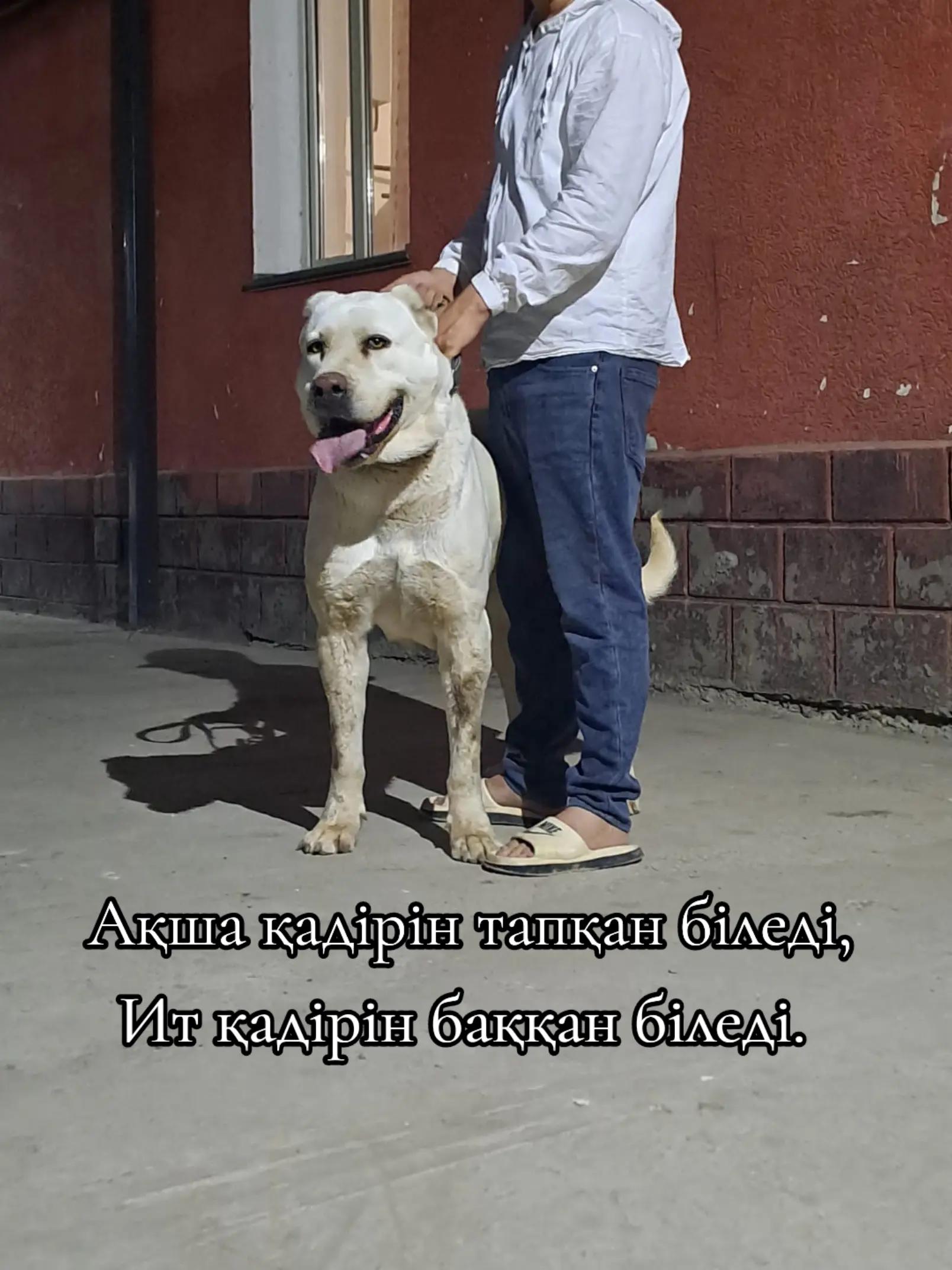 @🇰🇿✊𝔸𝕗𝕚𝕟𝕒 ✊🇰🇿