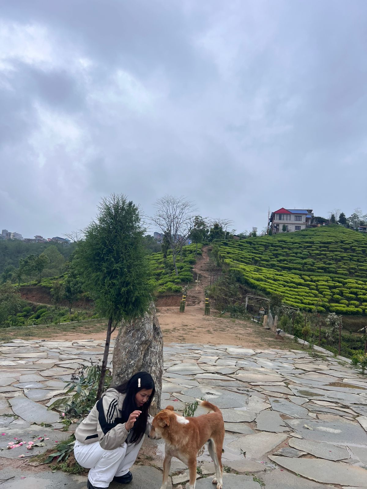 @Riya  saru