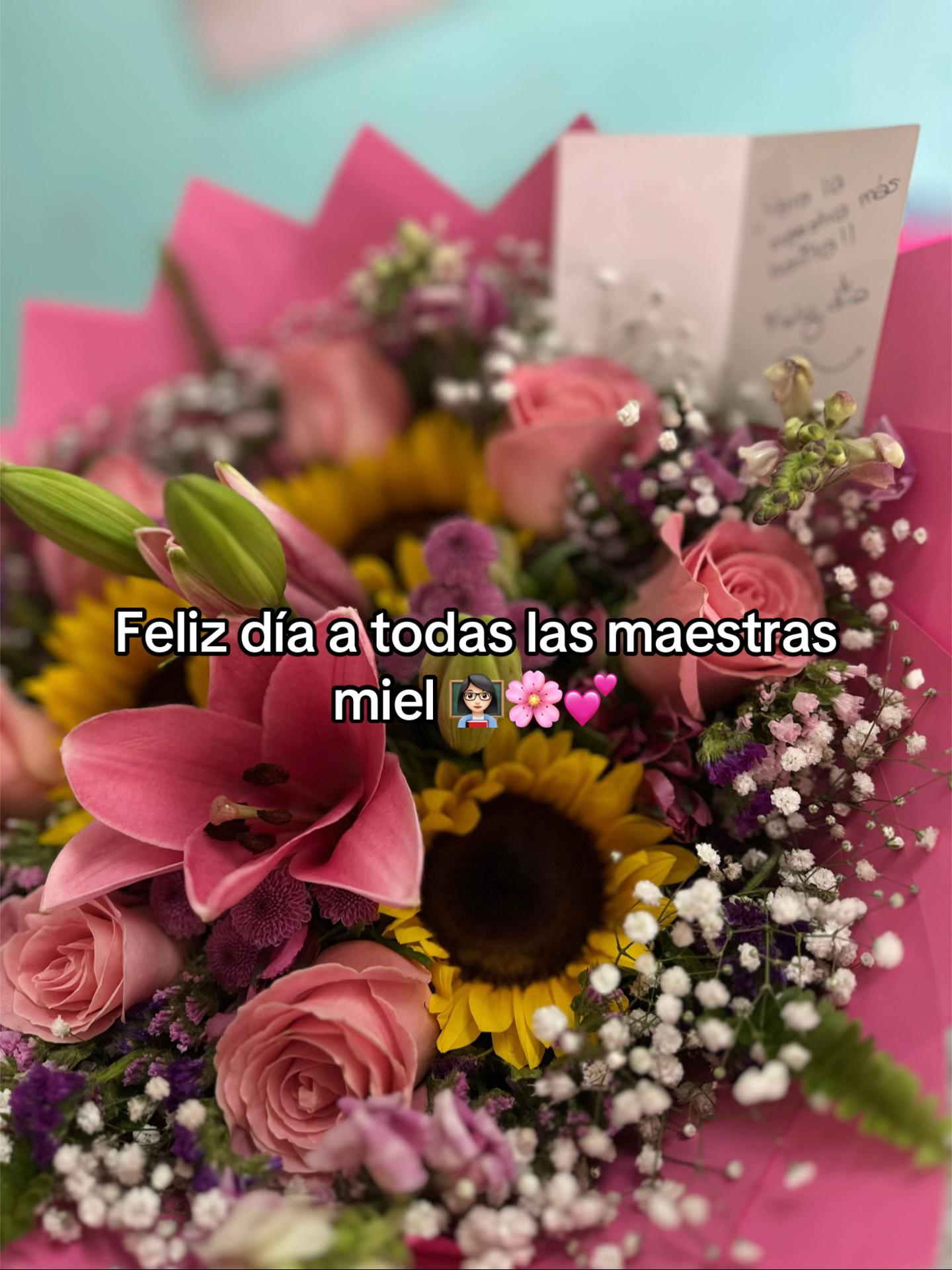 @Maeta Lili 🌸👩🏻🏫✨