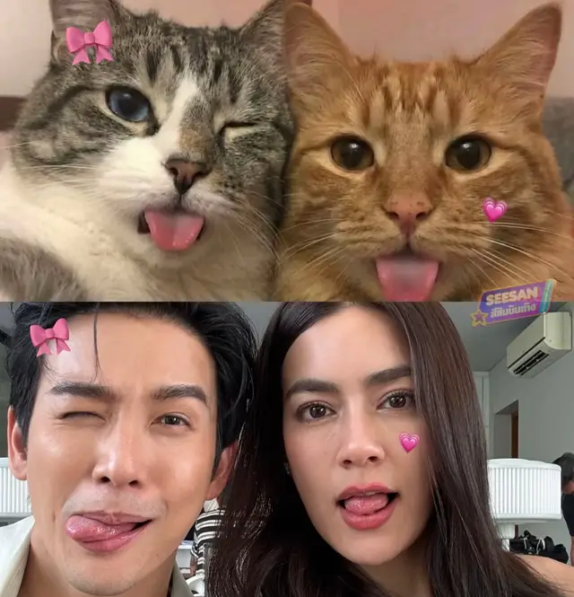 @Banmarkimpantip