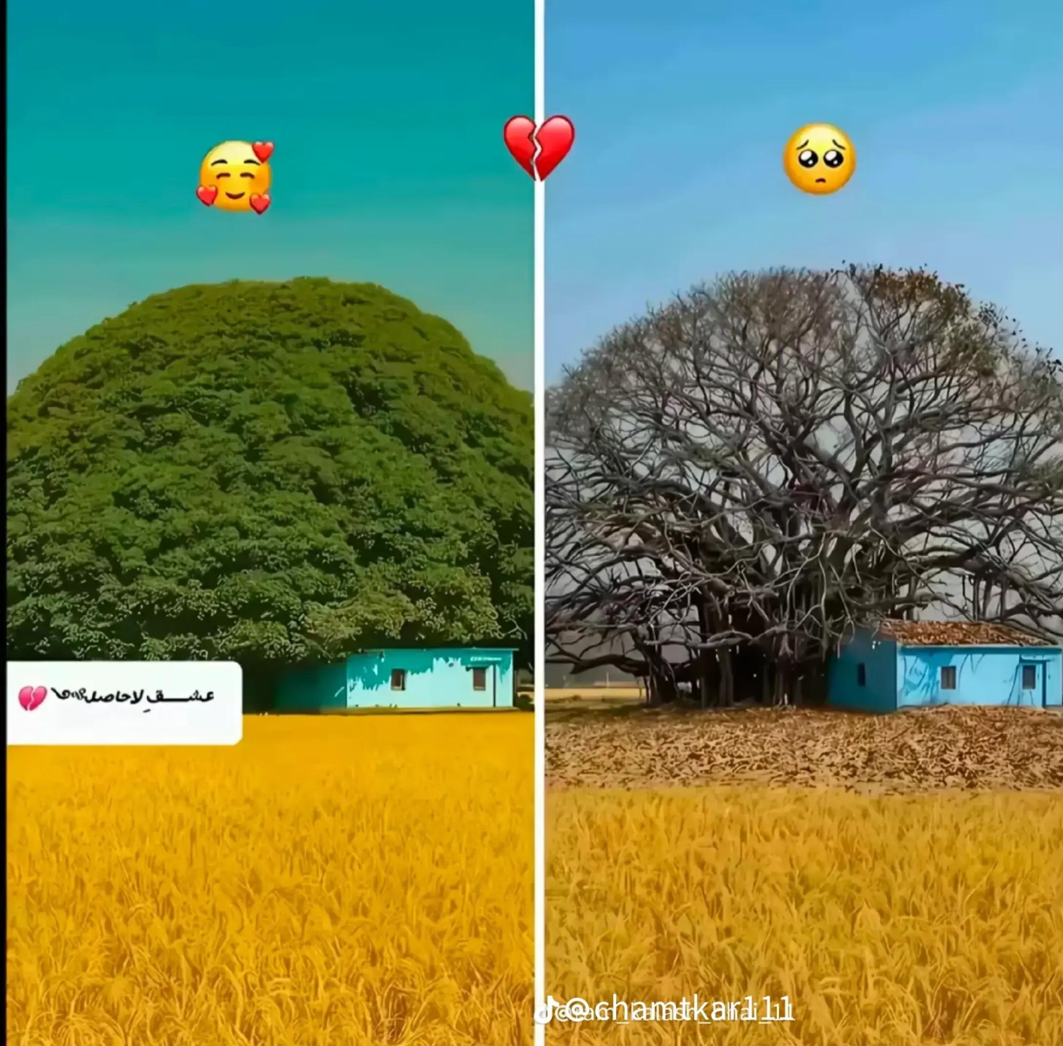 @꧁^❣️•༆𝙳𝚎𝚎𝚙𝚊𝚔 𝚁𝚊𝚢•༆^❣️
