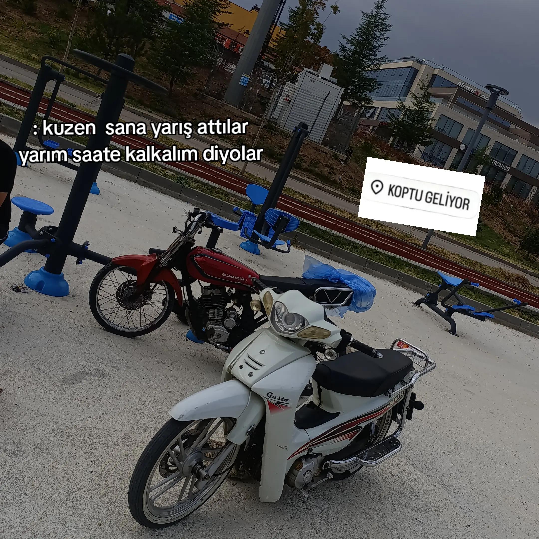 @Haydar uzun✍️