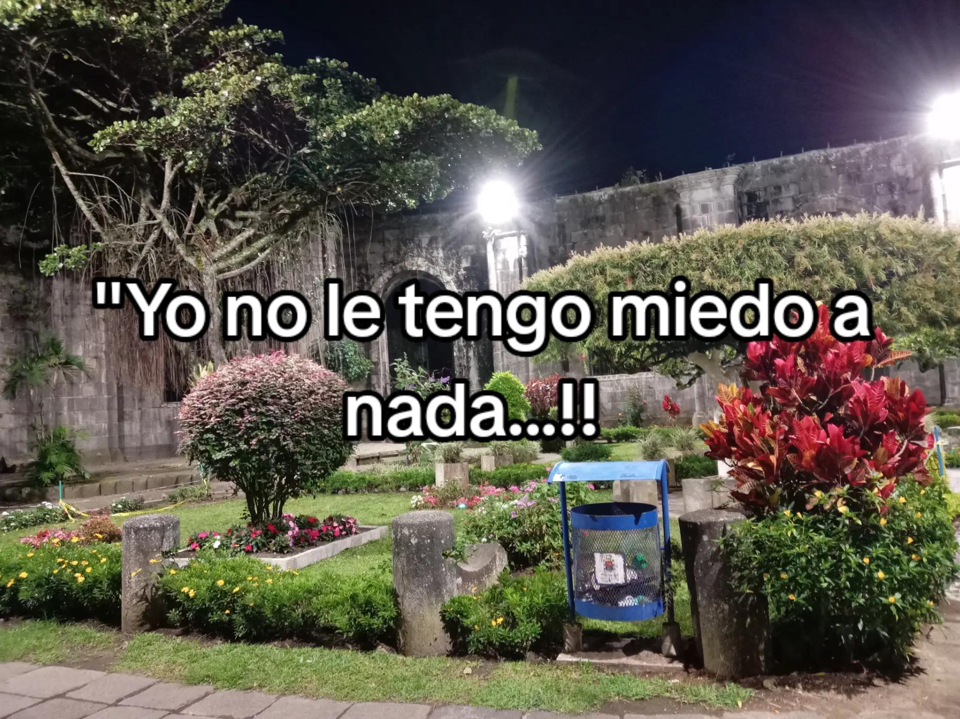 @💖 🦢, " * Gavi * ",🦢💖