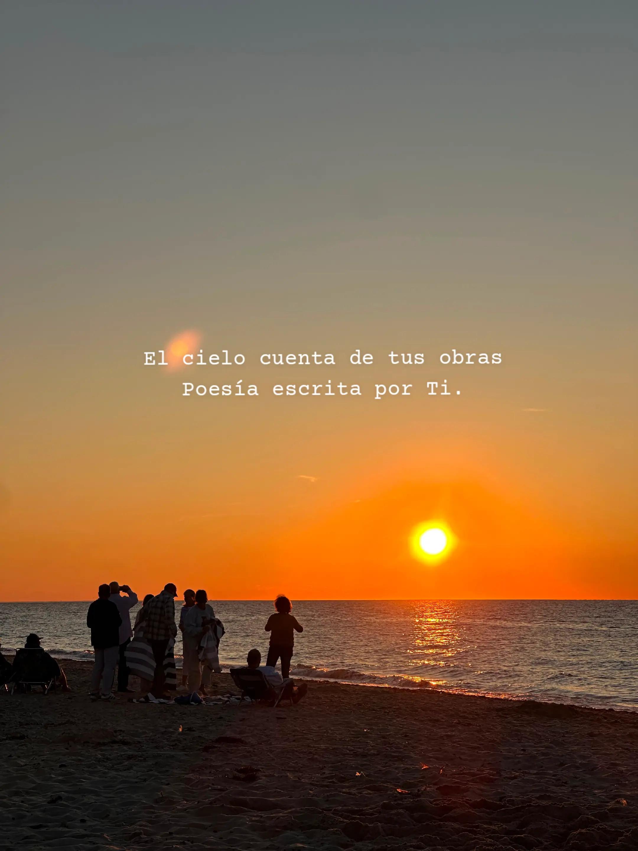 @Momo