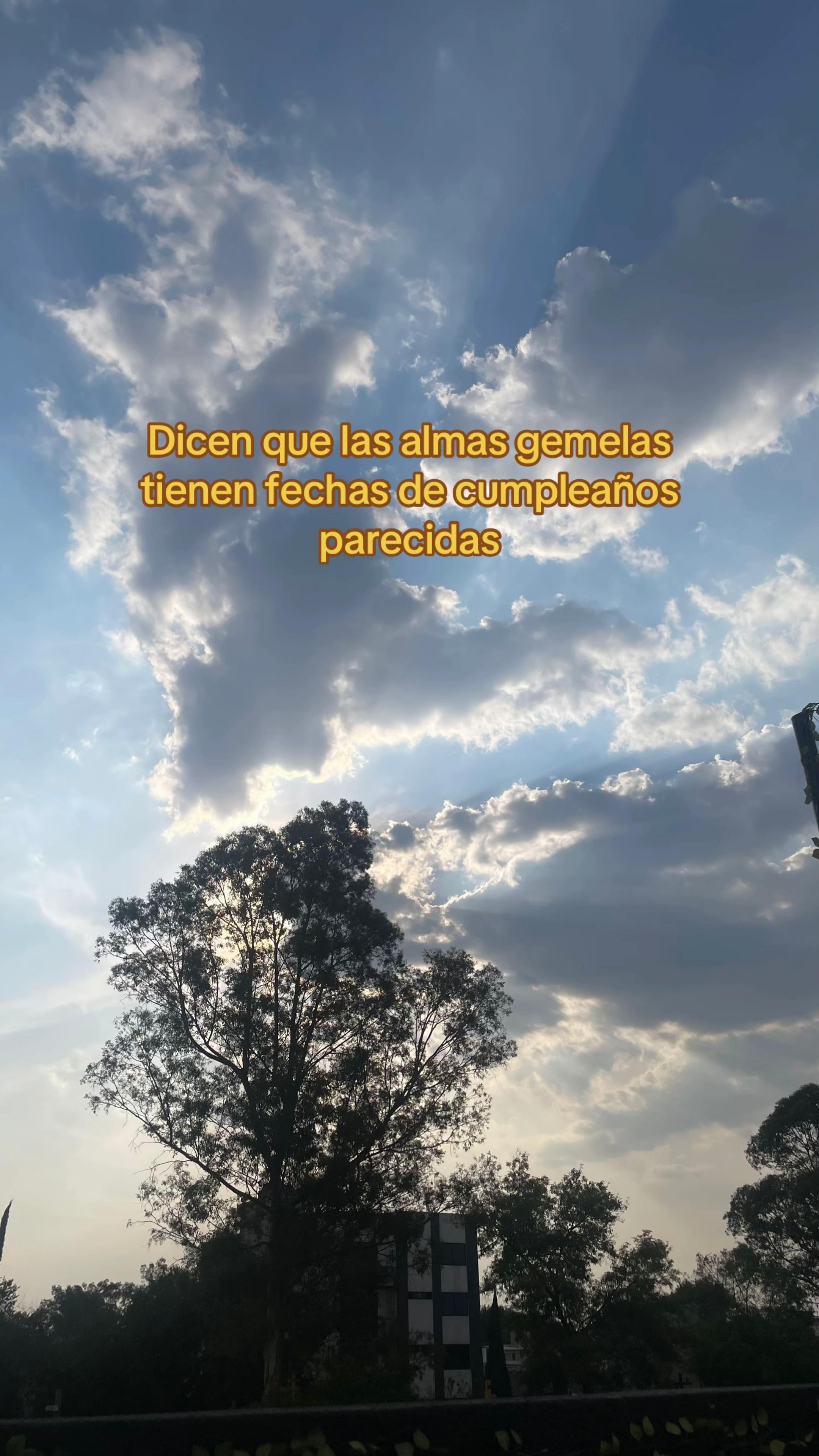 @R E Y N A A