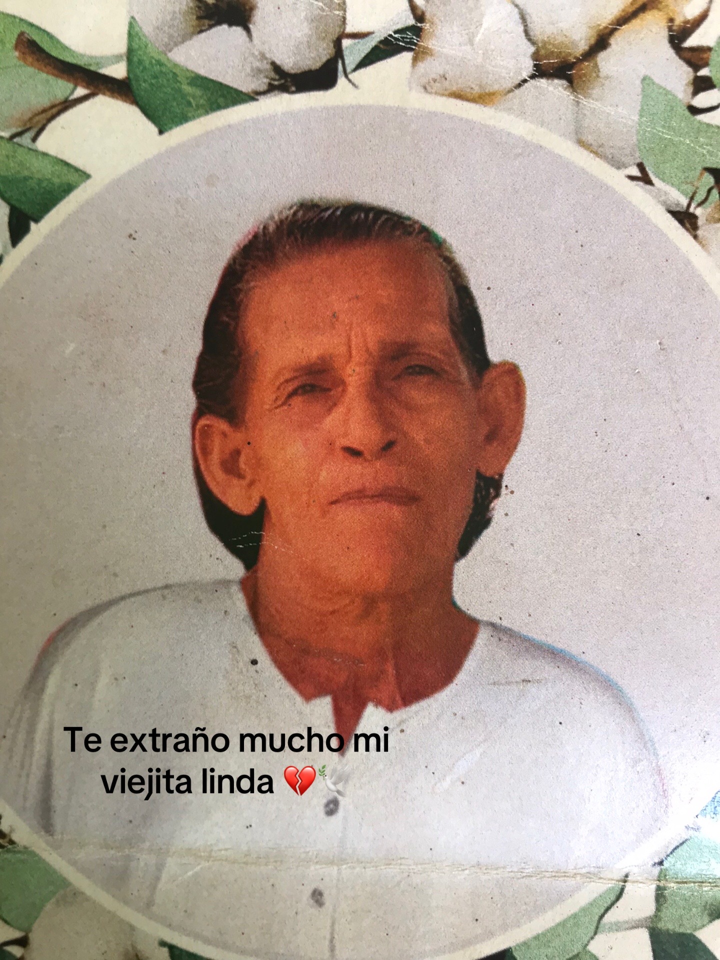 @Stivencito 🦦