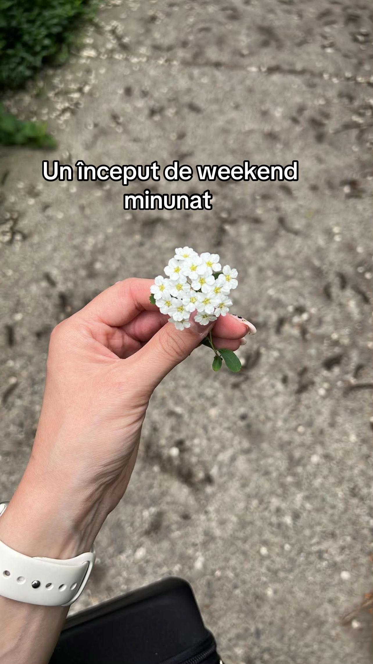 @Mihaela