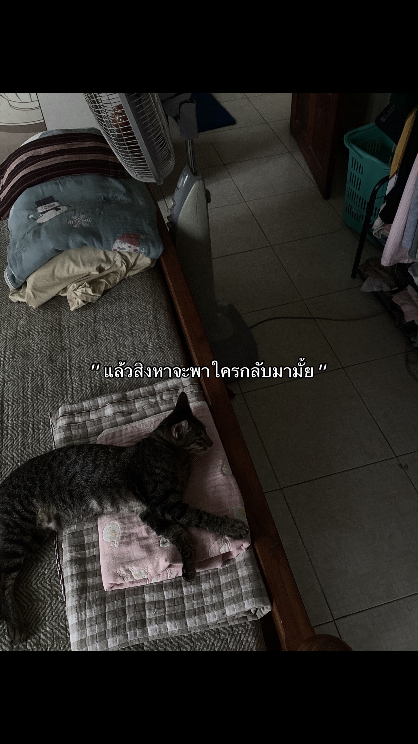 @ใครเพ้อเป้นหมา