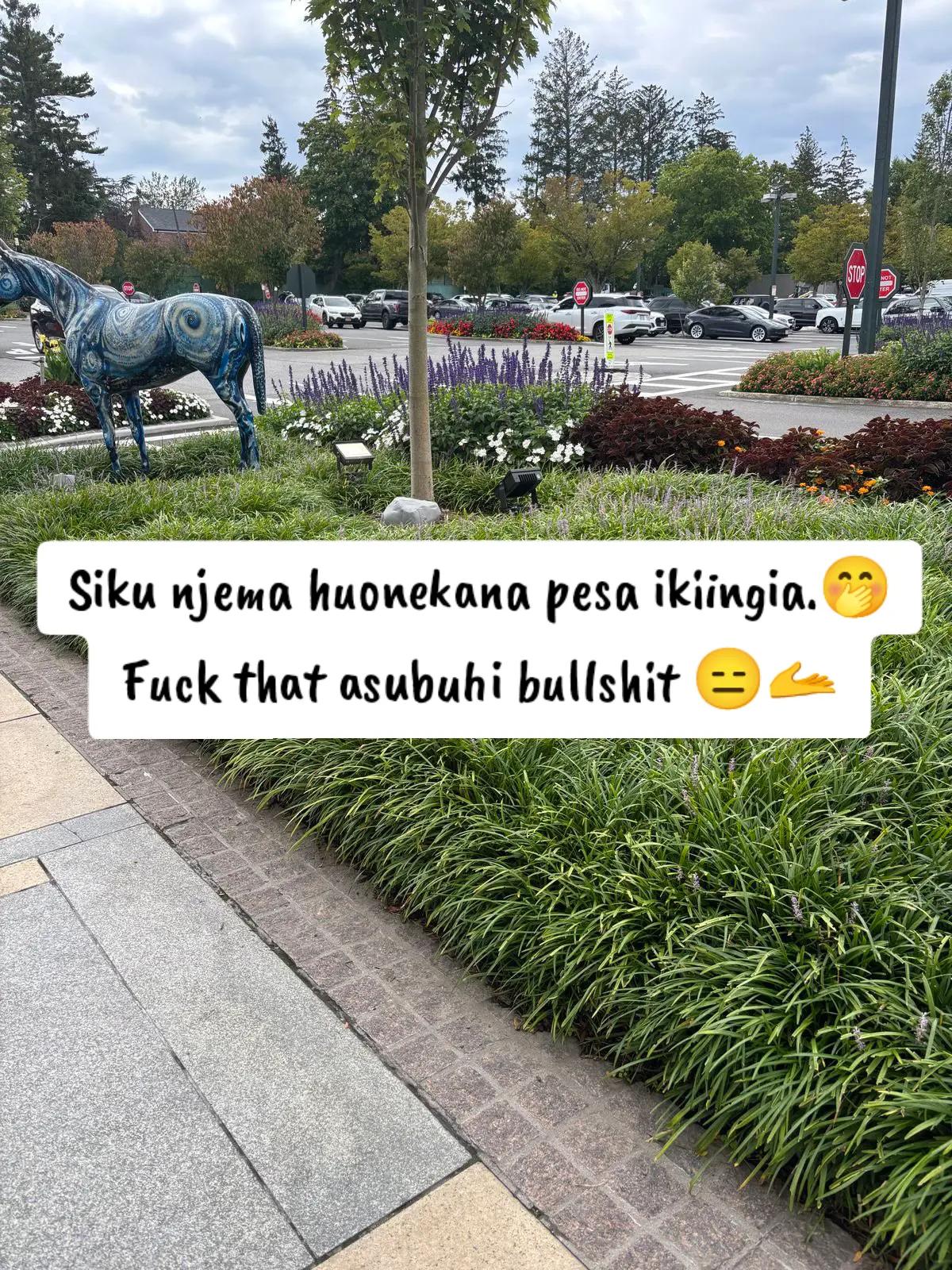 @Daisy🌸