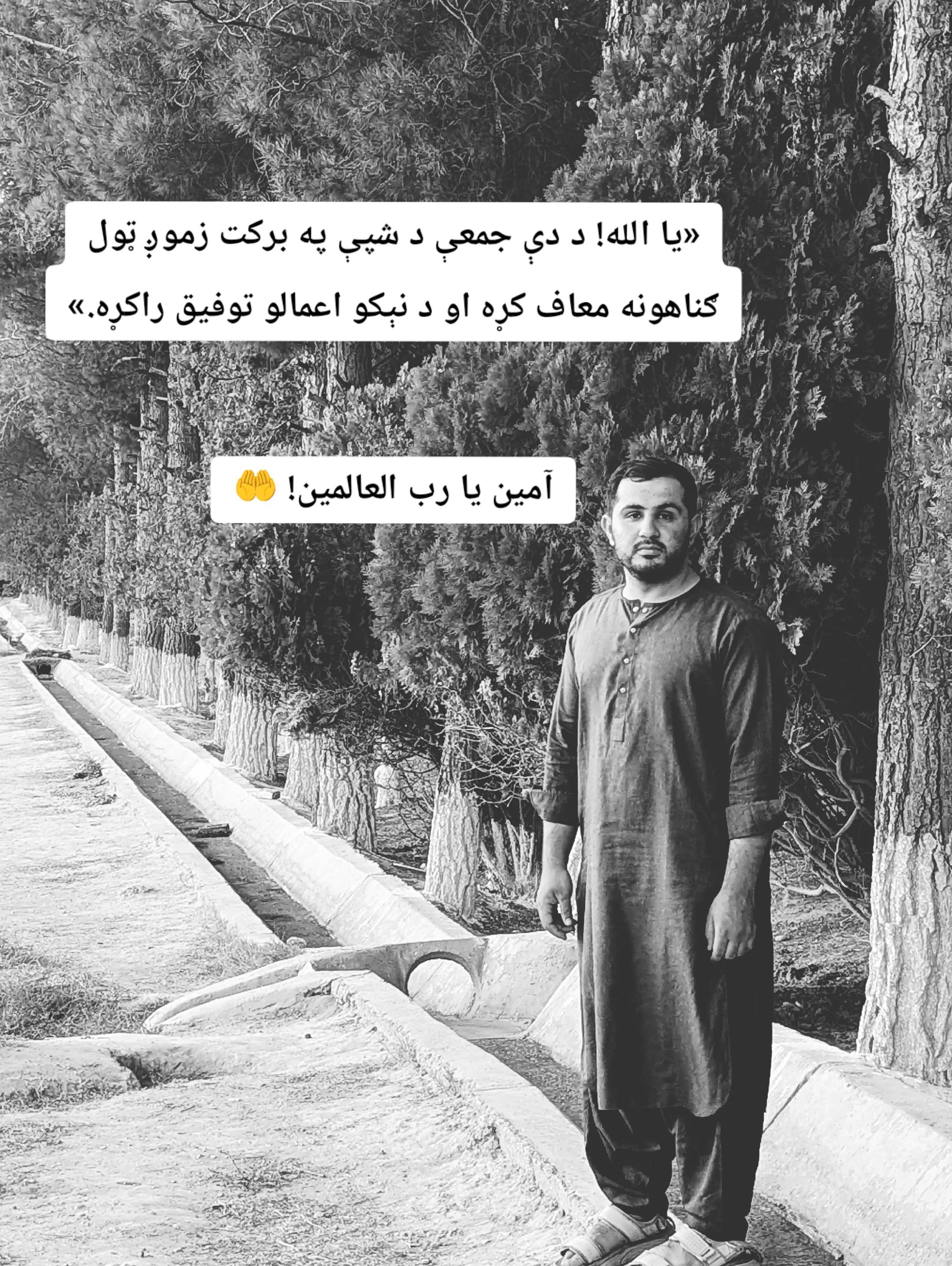 @Tayeb khan Sanzar