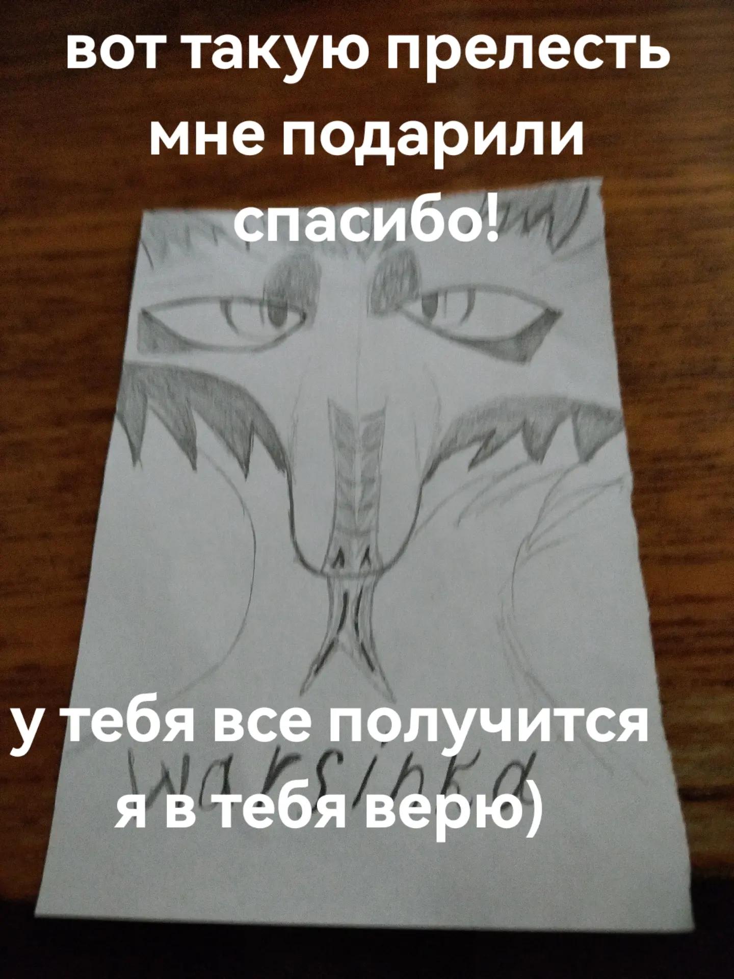 @Warss48