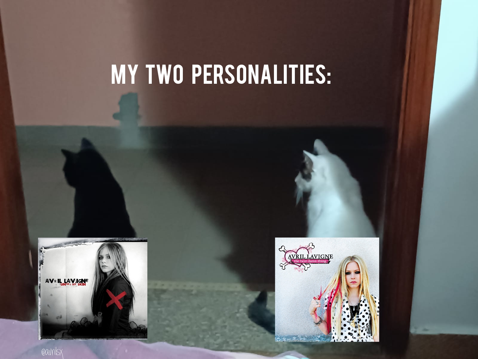 @avrilsnostalgia
