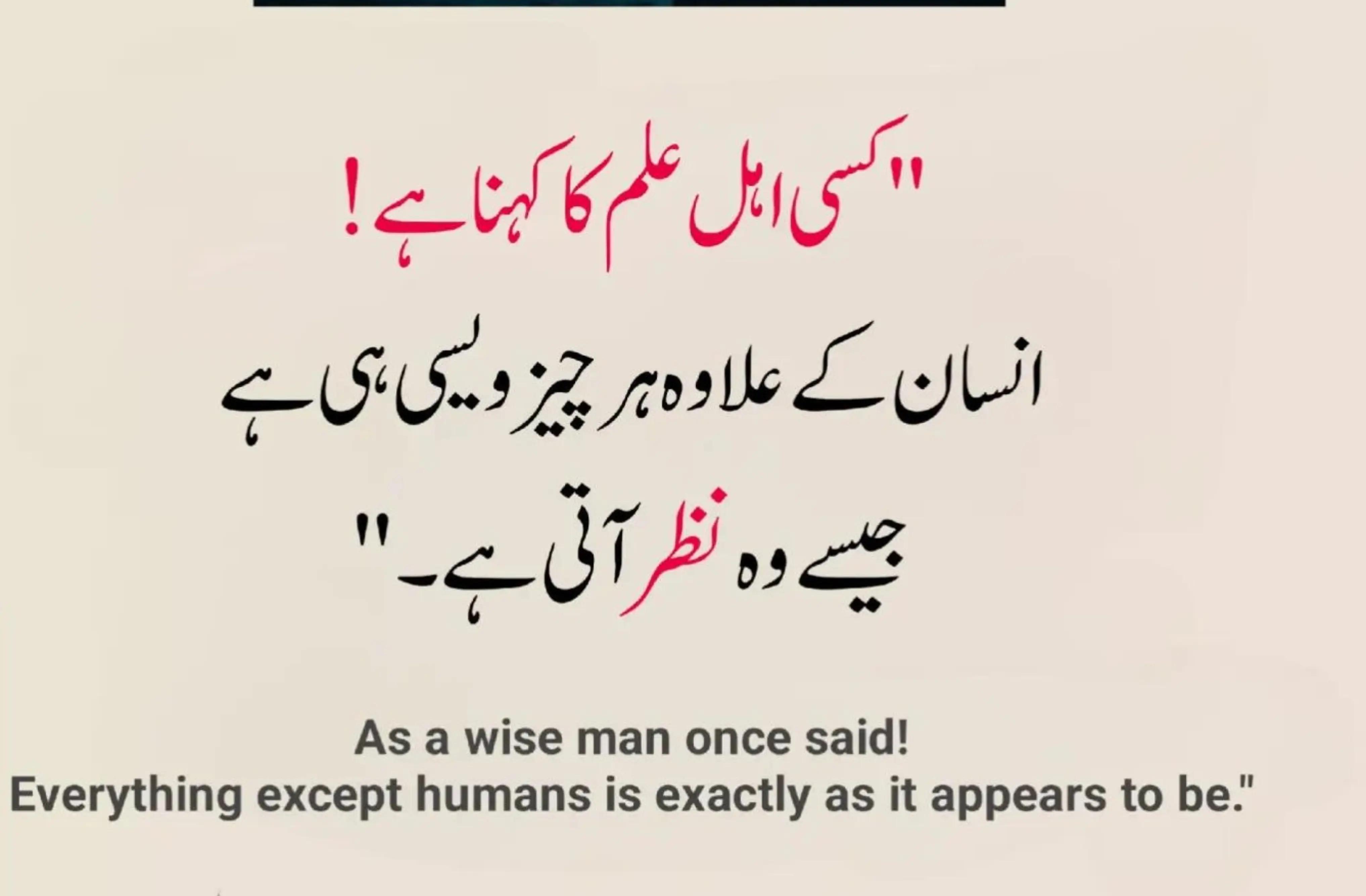 @✒️ قلمِ عشق ✒️