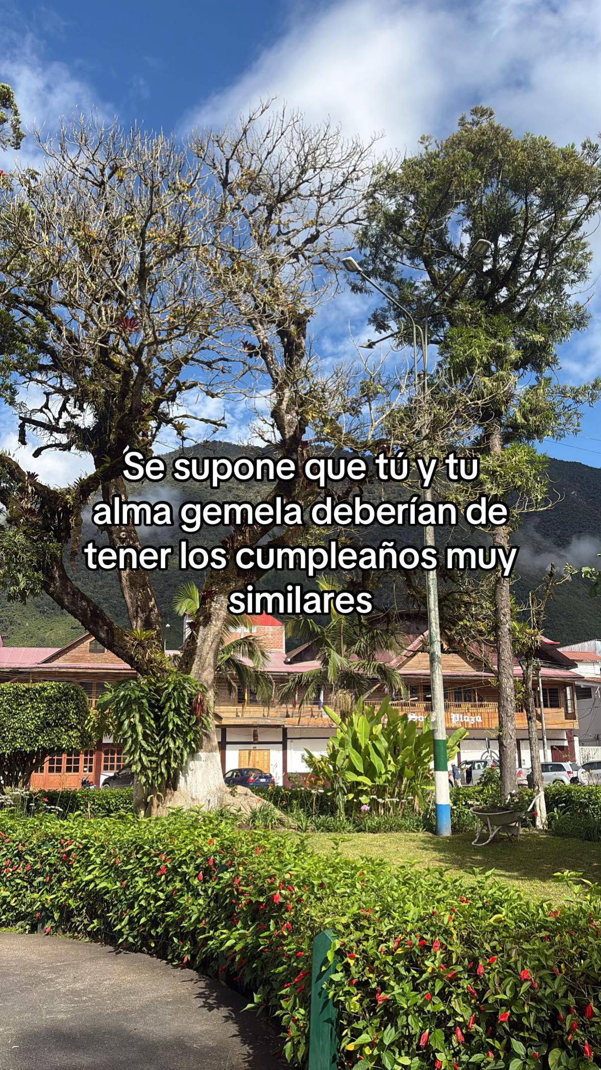 @Brunella Cárdenas