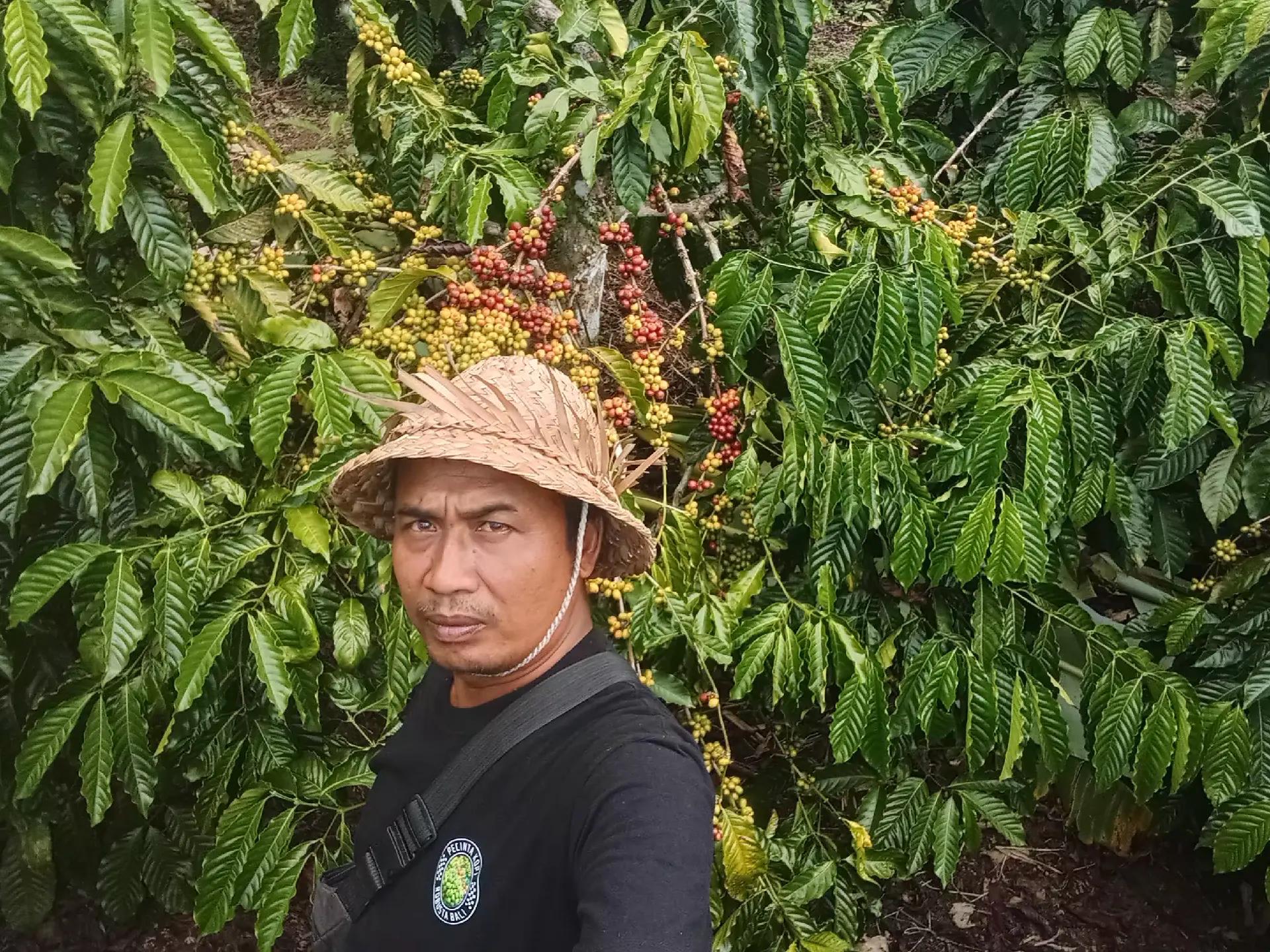 @Nyoman Suardana