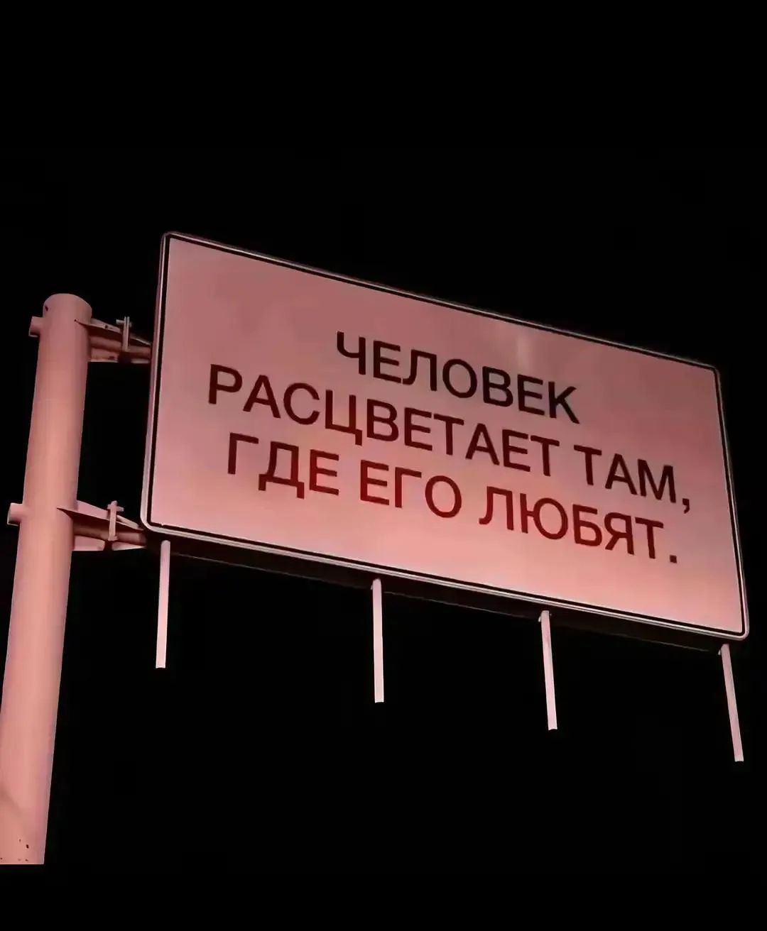 @ᴄᴀᴨɸиᴩ.🍻
