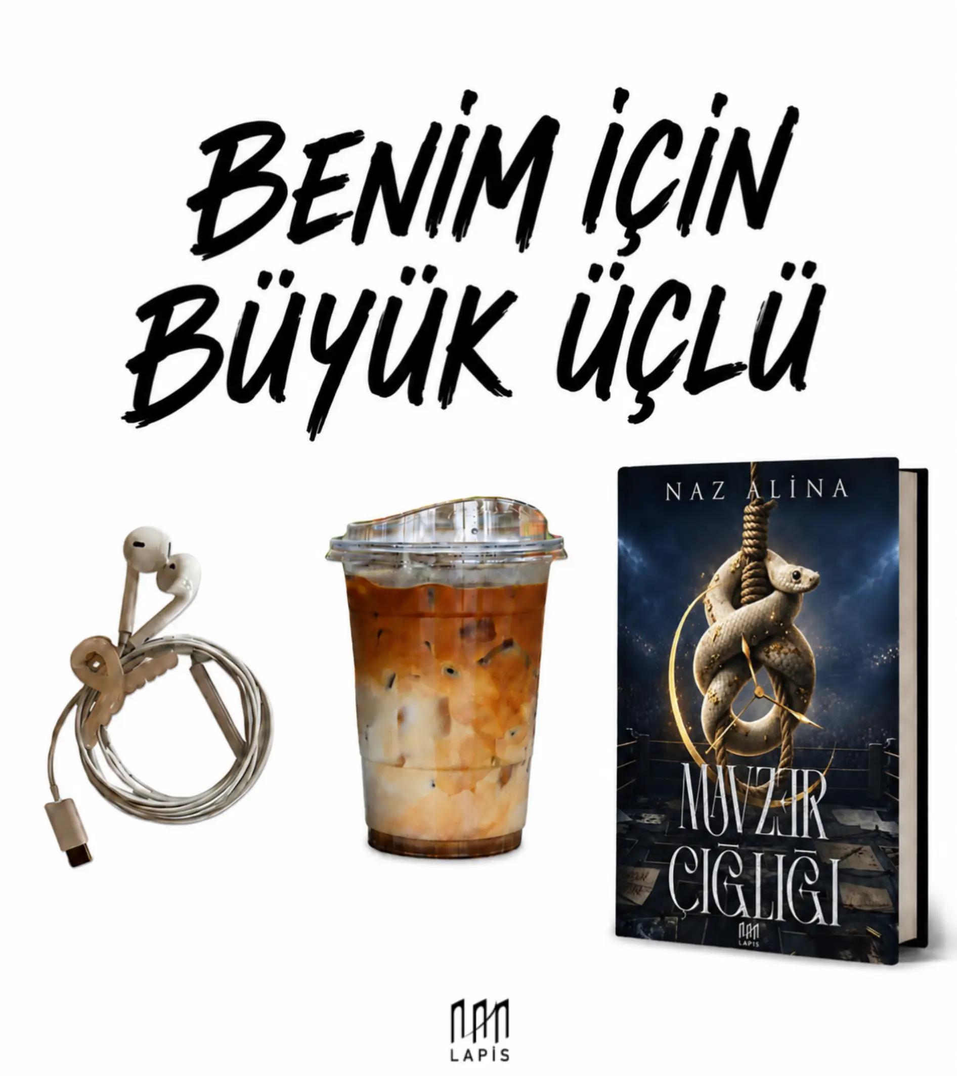 @LAPİS YAYINLARI