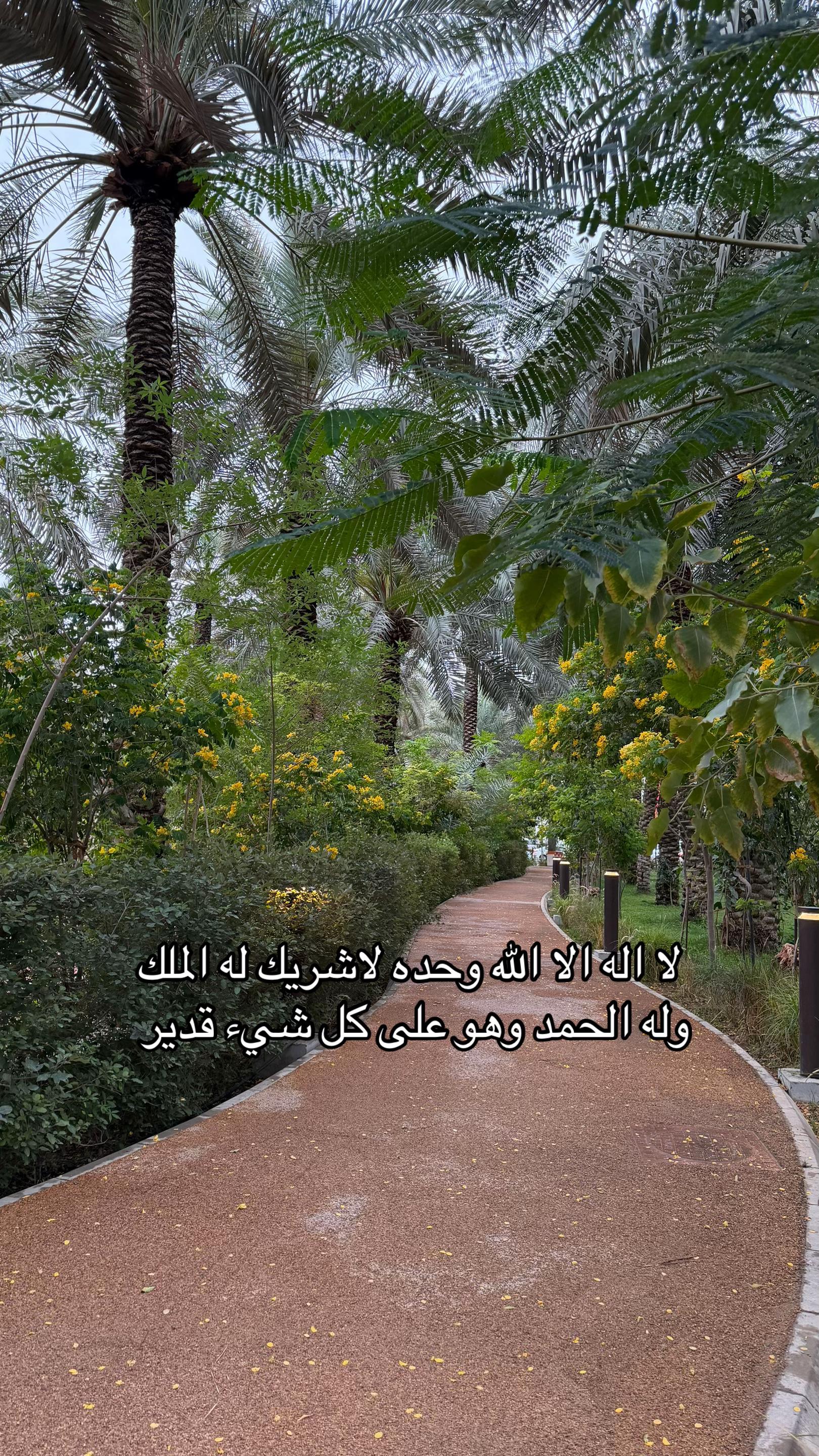 @يوميات يد🫳🏻✨