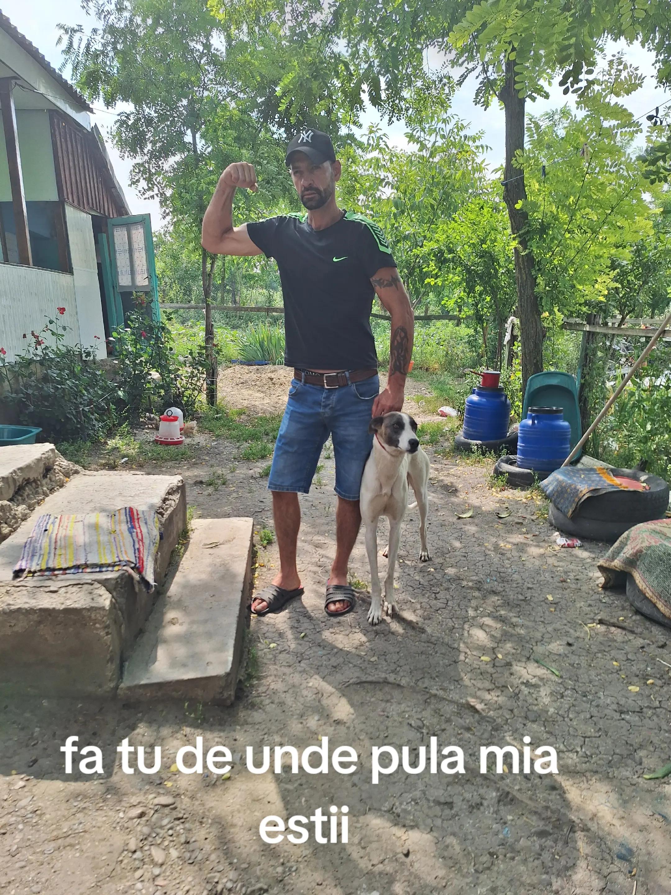 @Regele