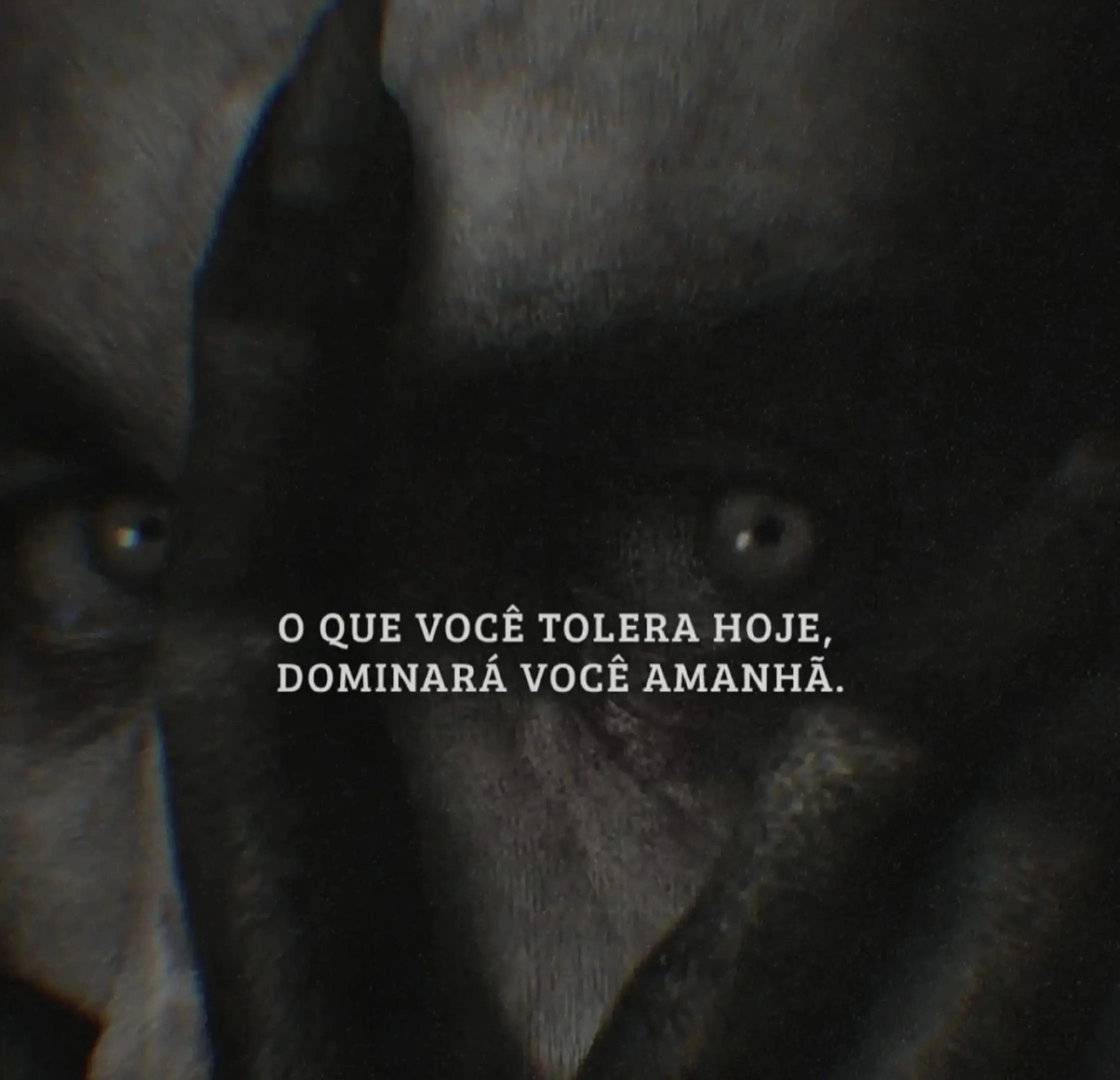 @Carlos Renato Barbosa Kumagae