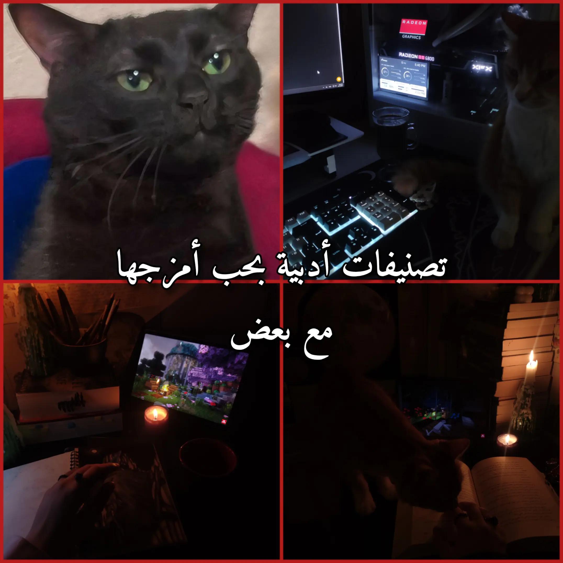 @SAM| الروائية