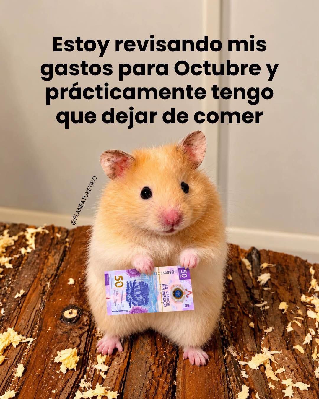 @Planea Tu Retiro