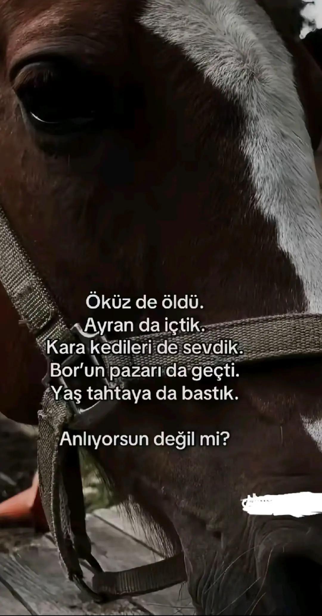 @𝙁𝘼𝙏𝙄𝙃 𝙔𝙄𝙇𝙈𝘼𝙕