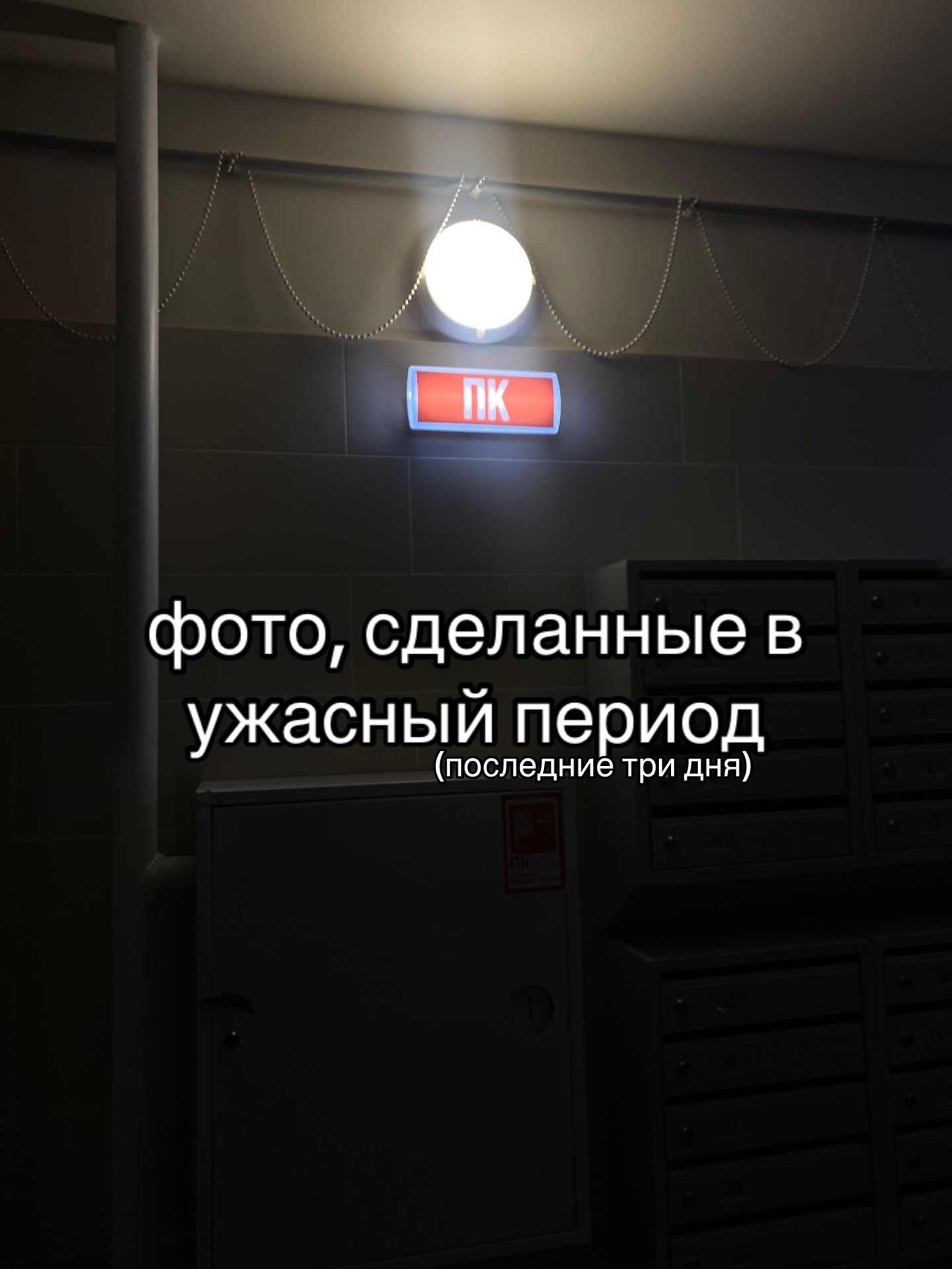 @сардина